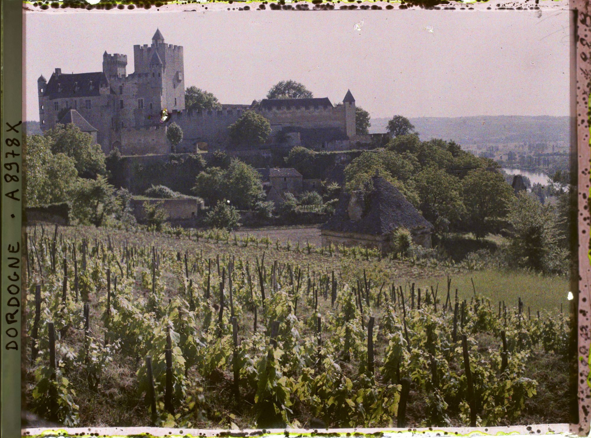 Image représentant France, Beynac, Le chateau et la Dordogne dans le fond à droite vignes au 1er plan