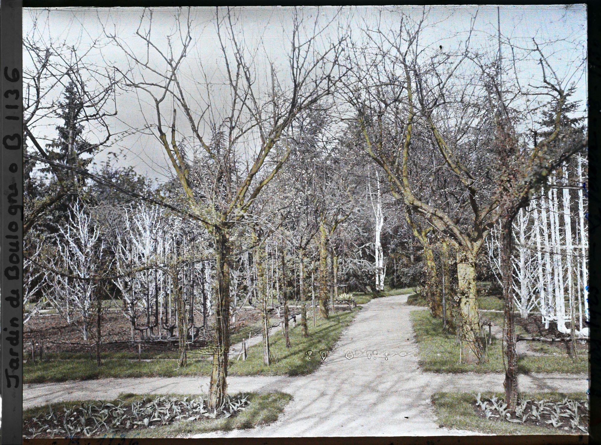 Image représentant Allée du verger-roseraie menant à la forêt bleue, depuis le rond-point proche du jardin français