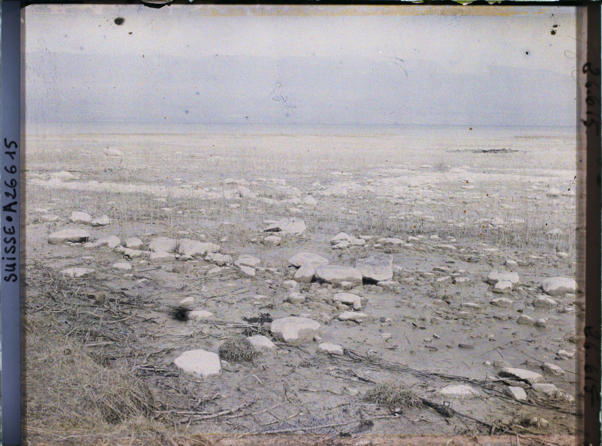Image représentant Site palafittique préhistorique des Alpes, pieux en bois visibles lors de la baisse des eaux après la grande sécheresse de 1921 sur le lac de Neuchâtel