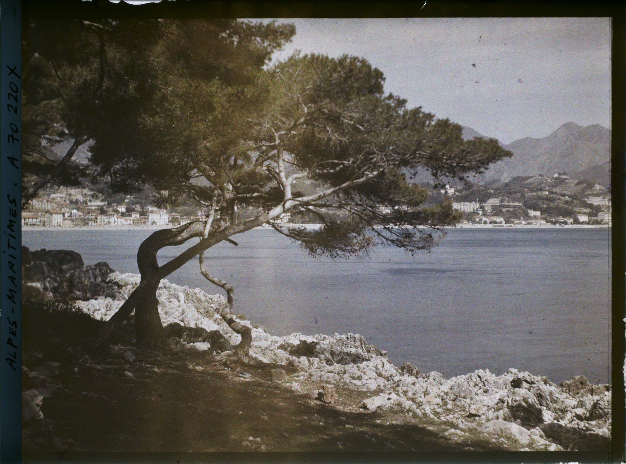Image représentant Vue sur Menton, depuis le Cap Martin