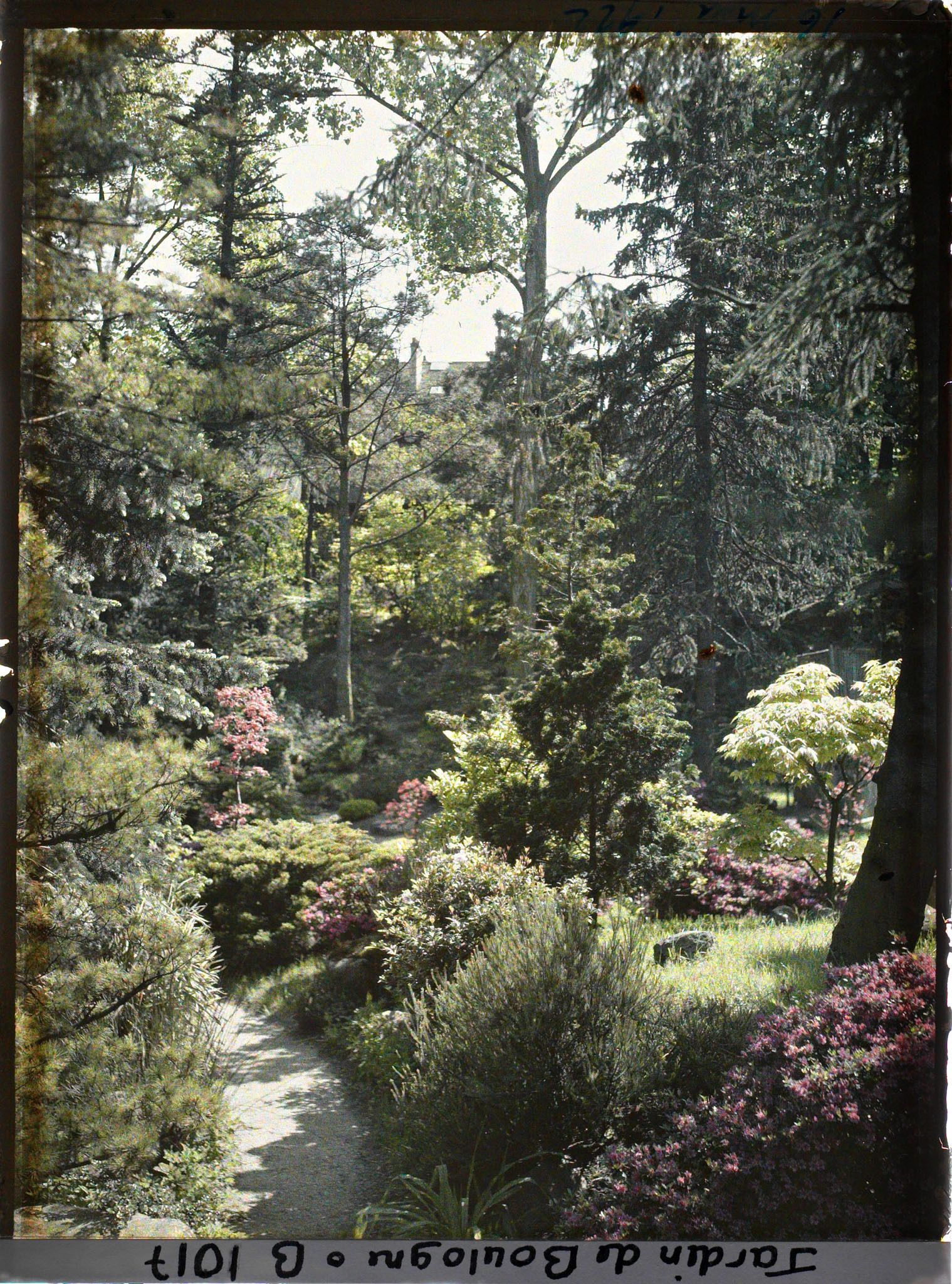 Image représentant Chemin du " village japonais " proche de la porte ouvrant sur le " sanctuaire japonais "