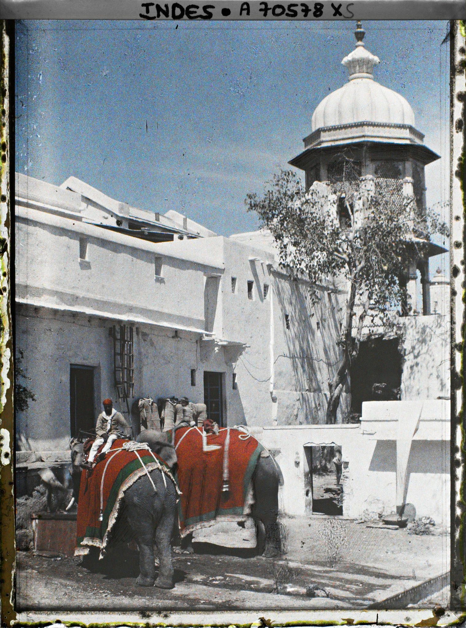 Image représentant Eléphants à l'abreuvoir