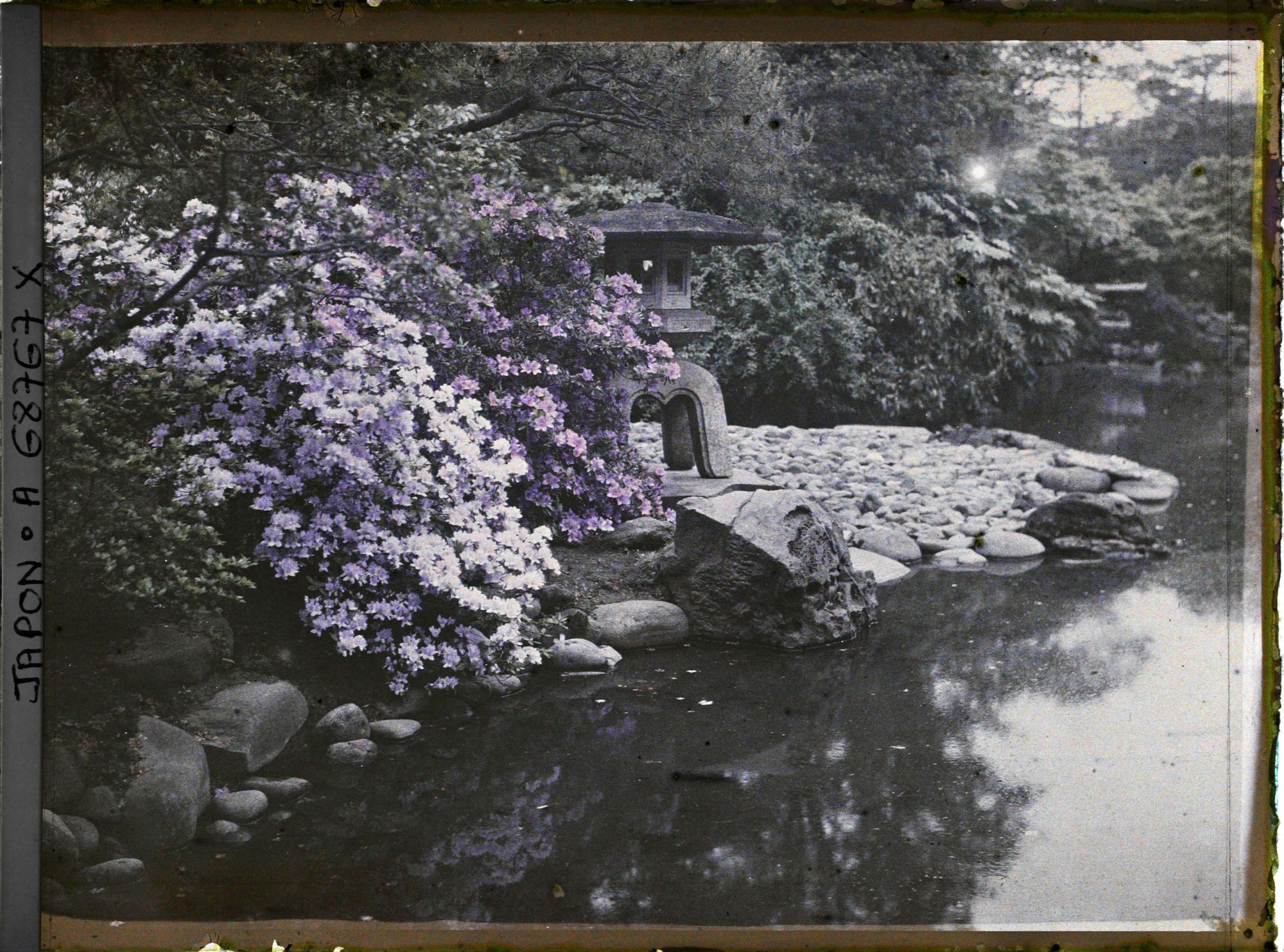 Image représentant Jardin d'une résidence
