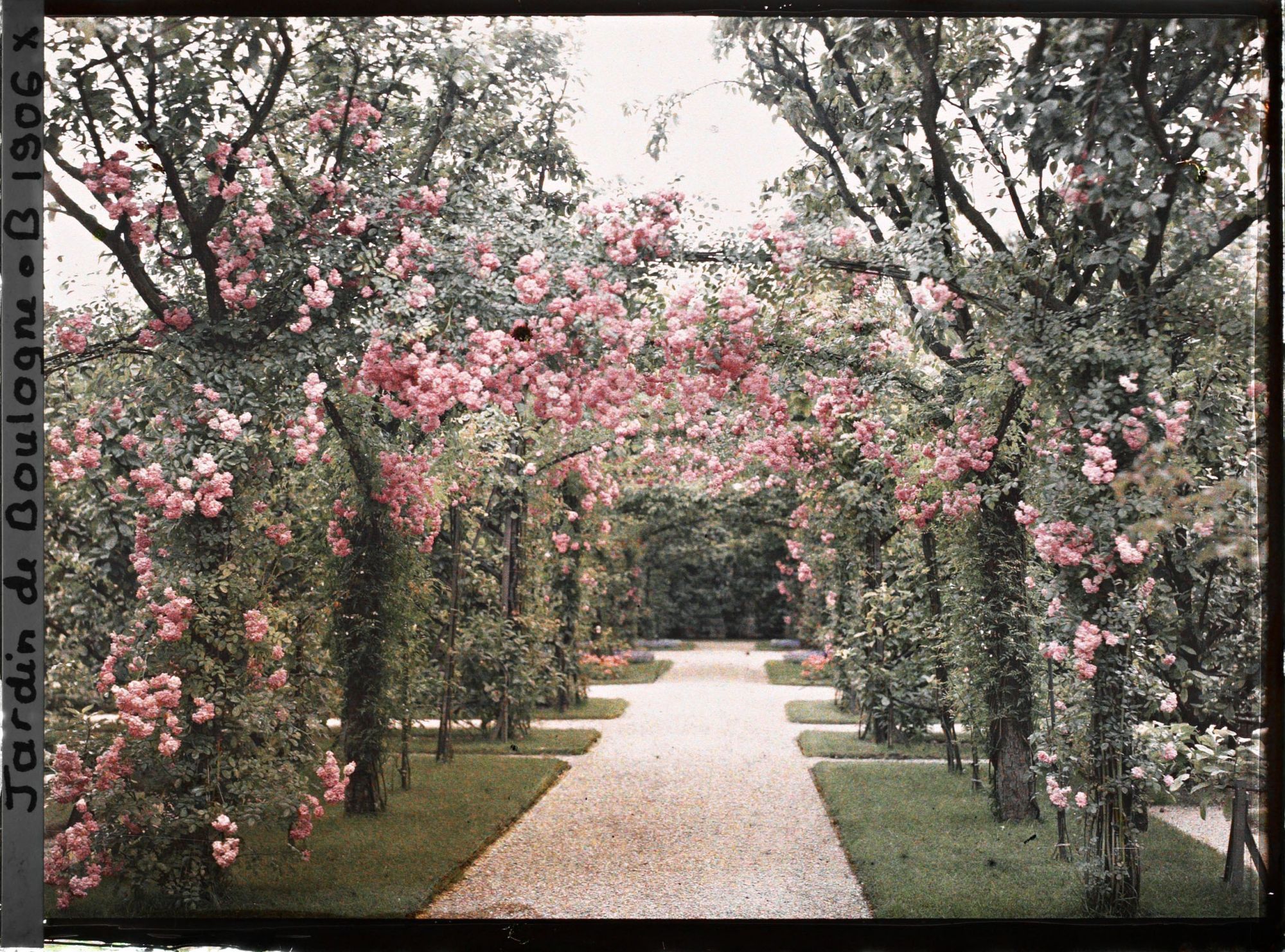 Image représentant Axe central du verger-roseraie vu vers la dépendance, après le rond-point proche du jardin français