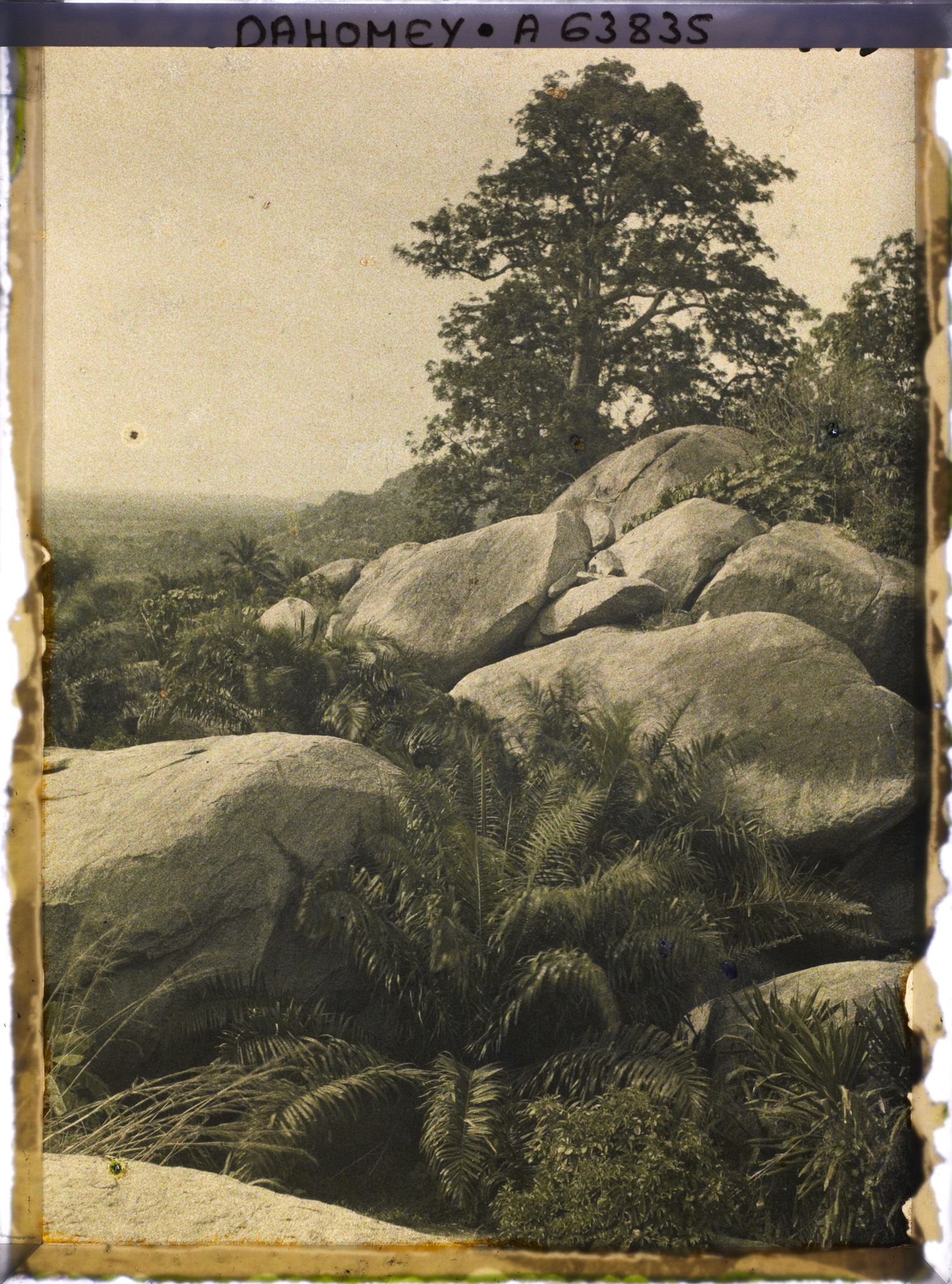 Image représentant Paysage de sommet montagneux