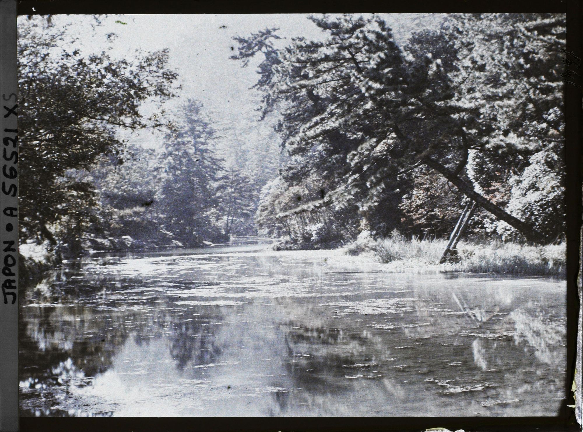 Image représentant Parc Ritsurin-koen (ou Kuribayashi-koen) : l'étang de l'ouest (Seiko-ike)
