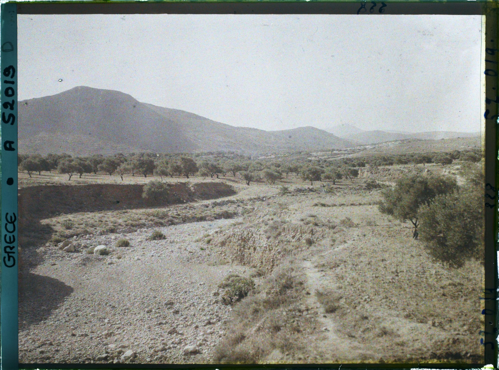 Image représentant Vallée de Gouves, entre Héraklion et Malia