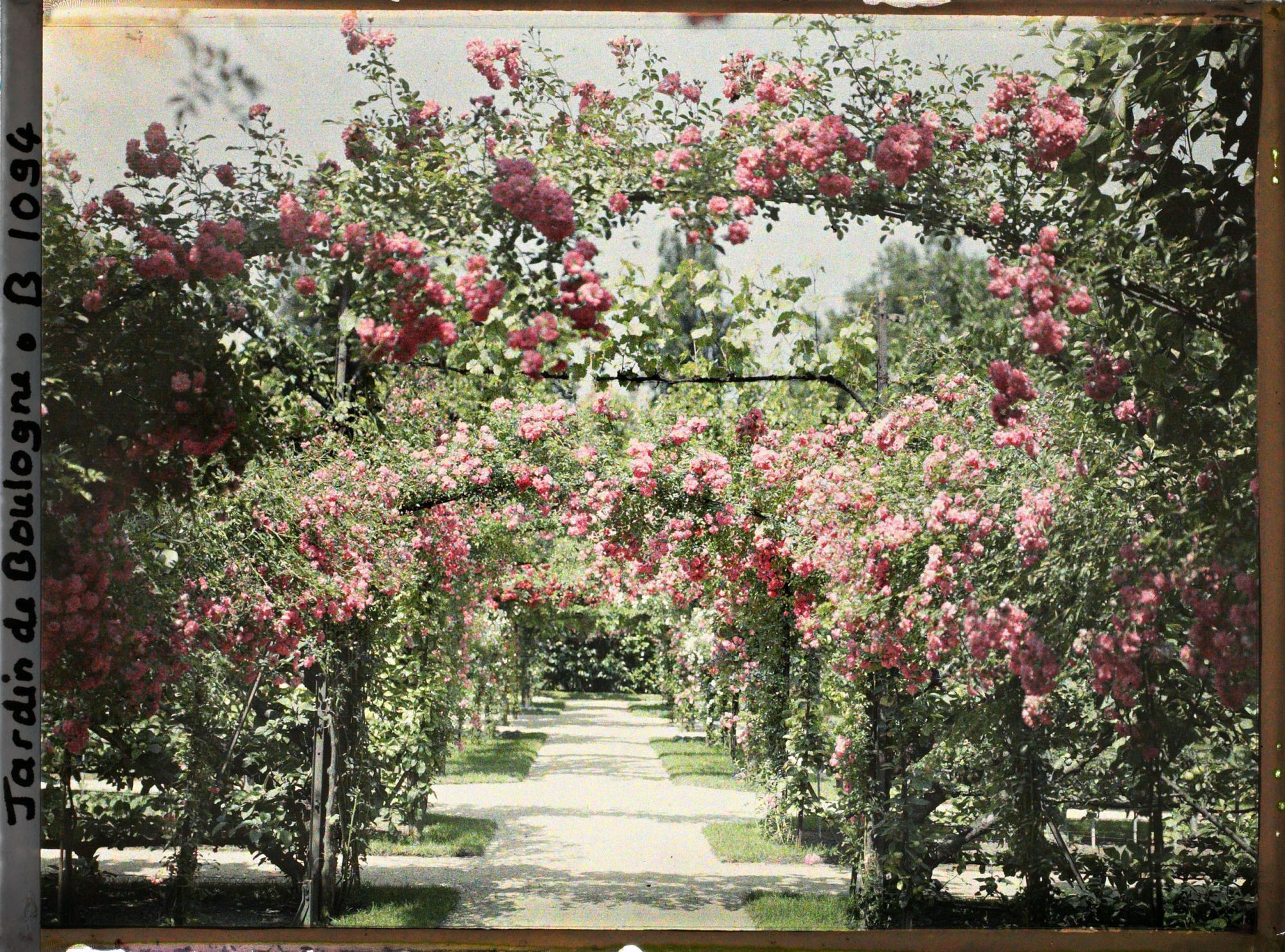 Image représentant Axe central du verger-roseraie vu à mi-parcours, en direction de la dépendance