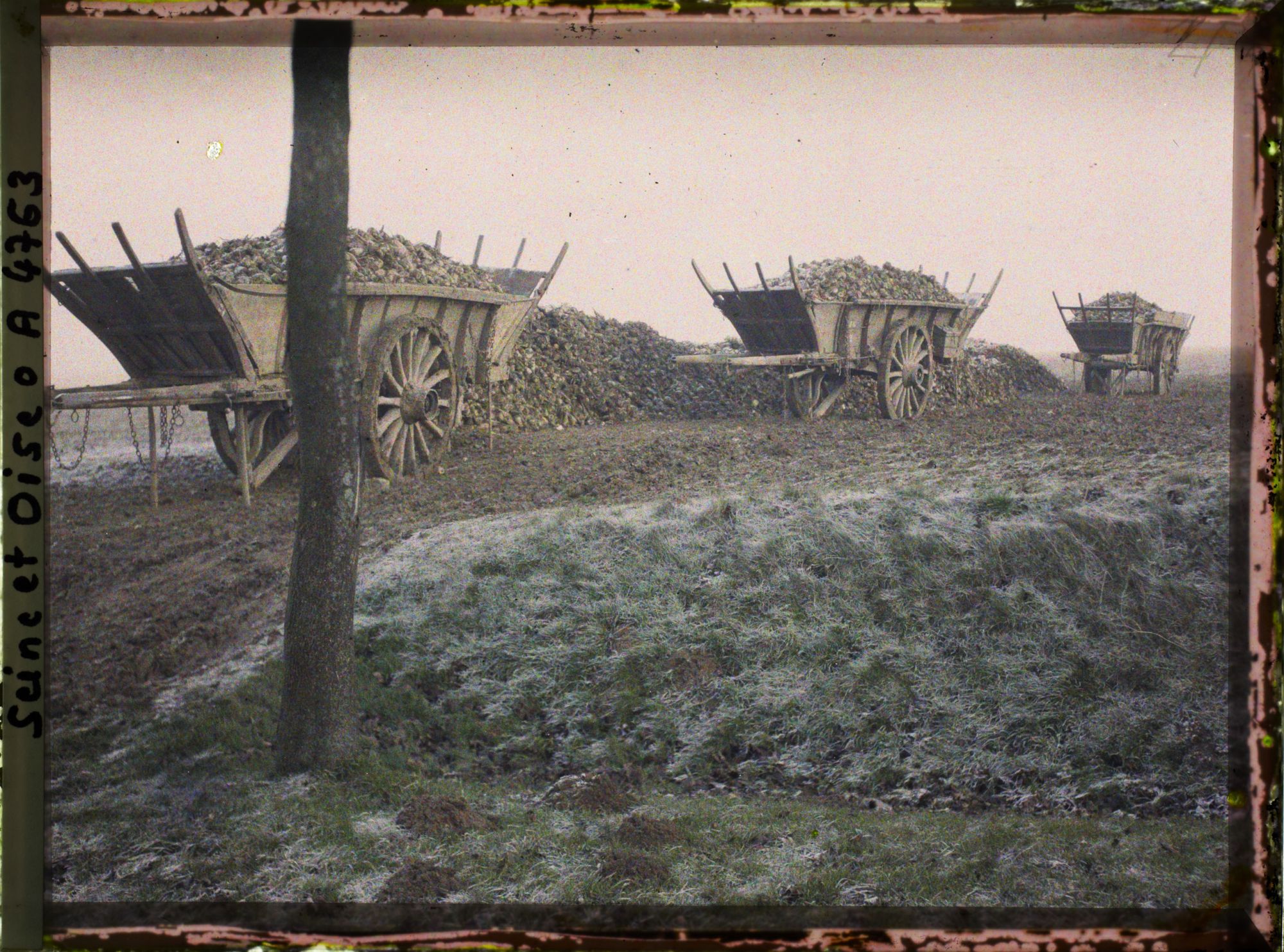 Image représentant France, Près de Vautherland, Les 3 Charrettes de betteraves