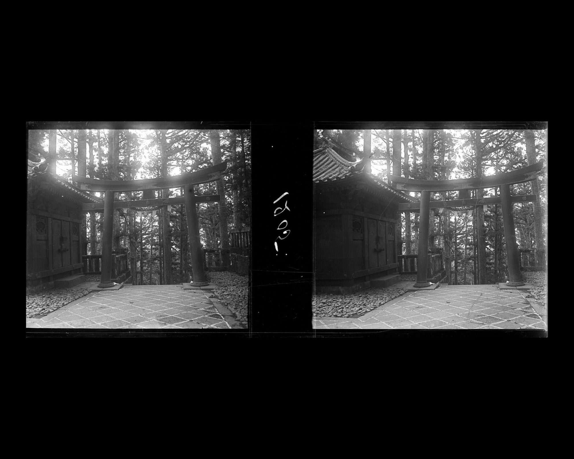 Image représentant Un torii dans le sanctuaire Tôshôgû