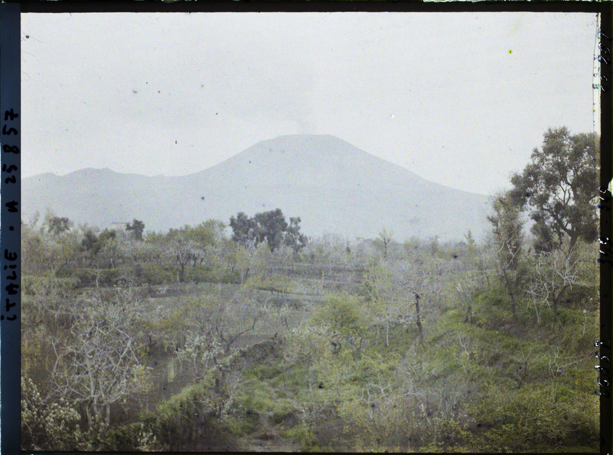 Image représentant Le Vésuve vu de Torre del Greco