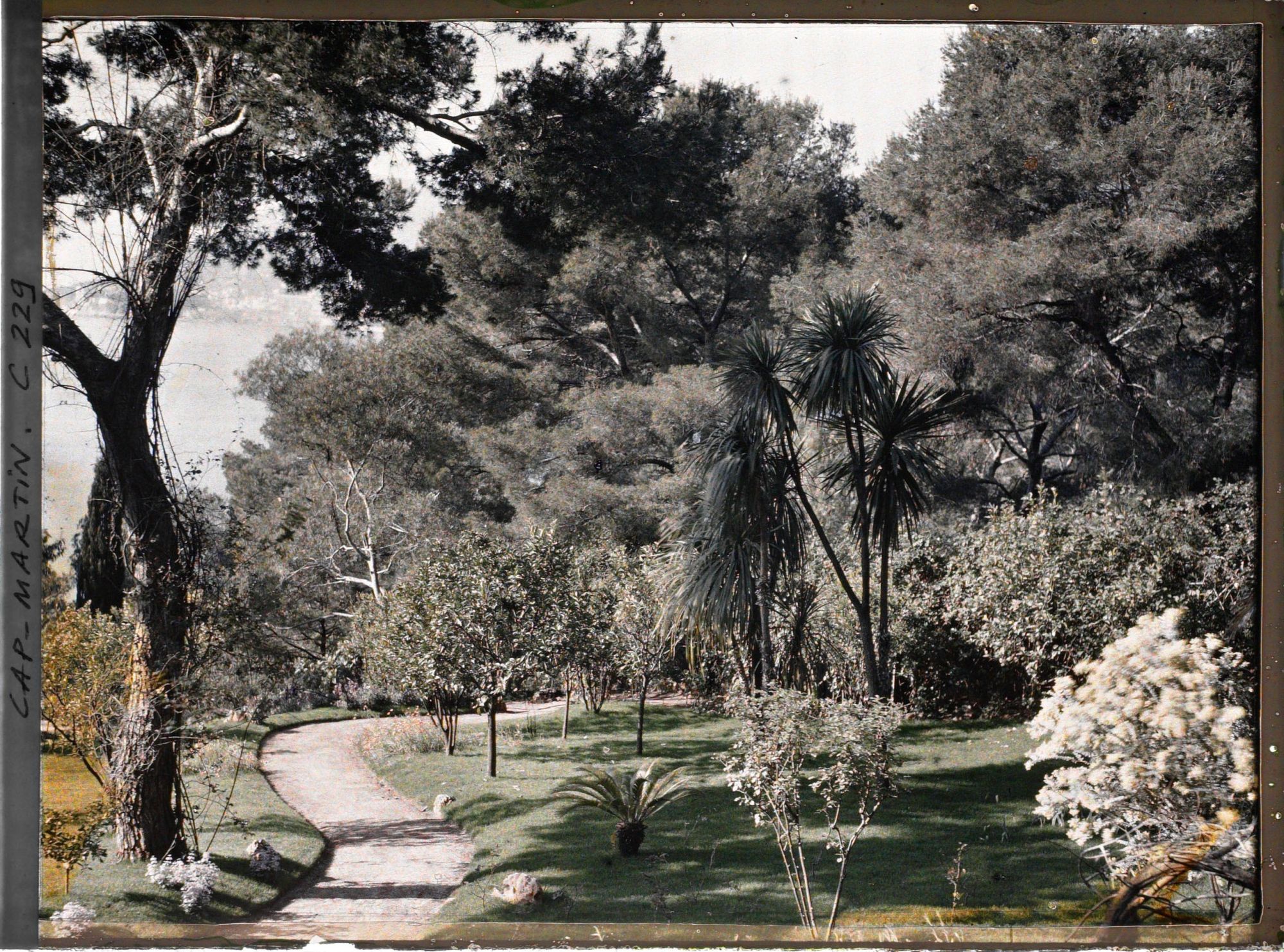 Image représentant Cap-Martin - Vue prise du Jardin de Dunure
