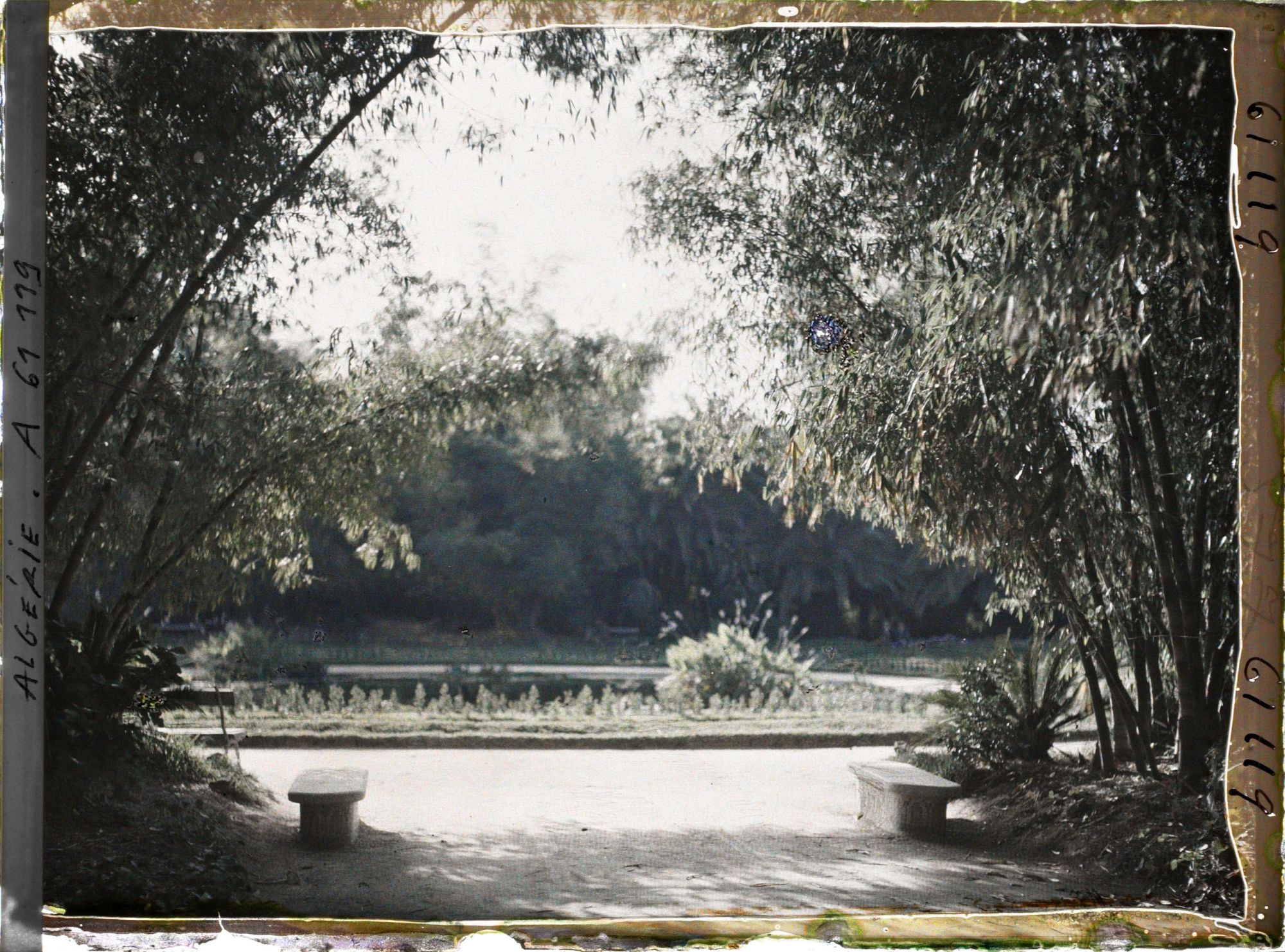 Image représentant Le jardin Français dans le jardin d'Essais