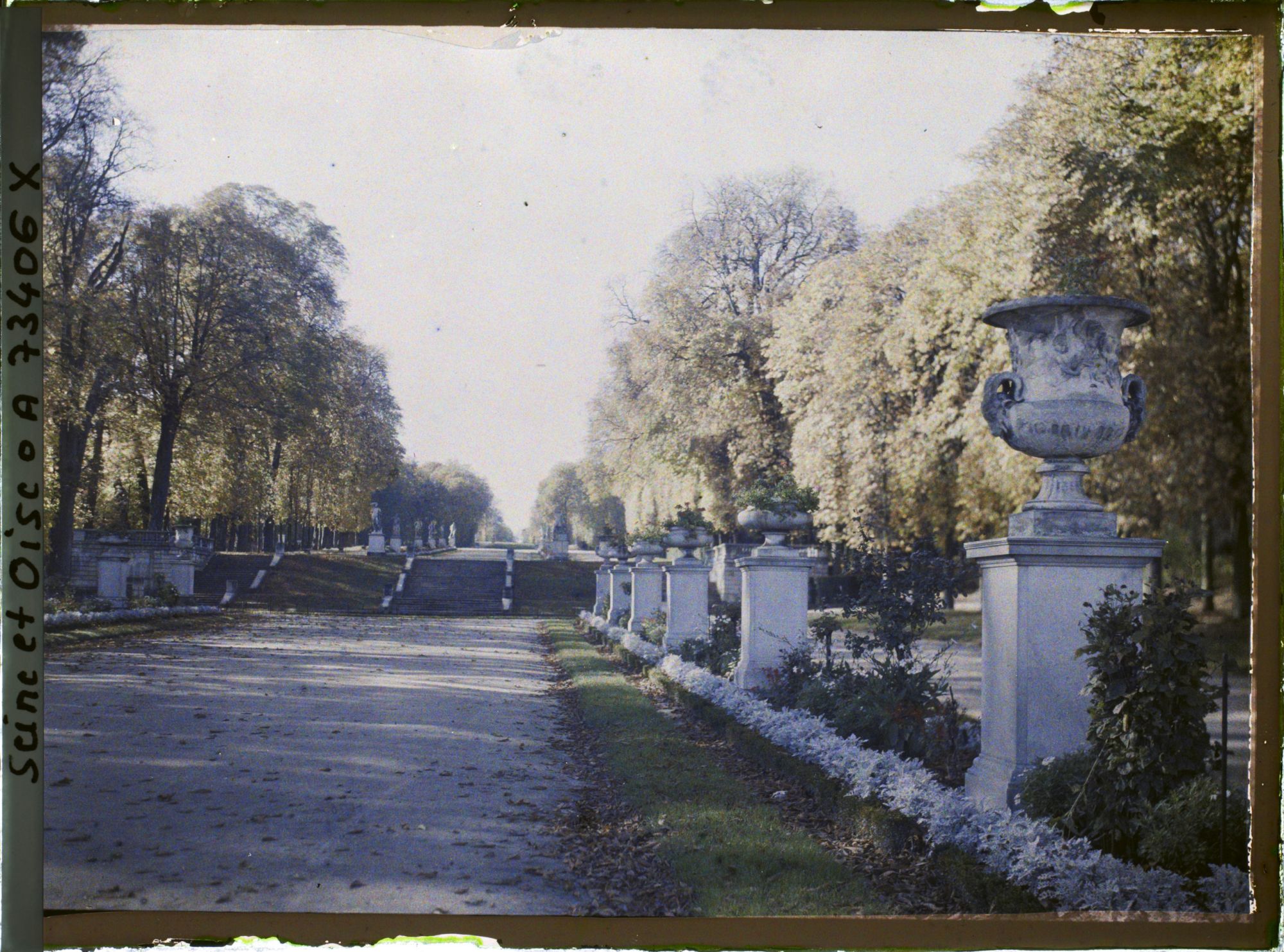Image représentant La terrasse des orangers, à l'arrière plan, les degrés menant à l'allée des Statues
