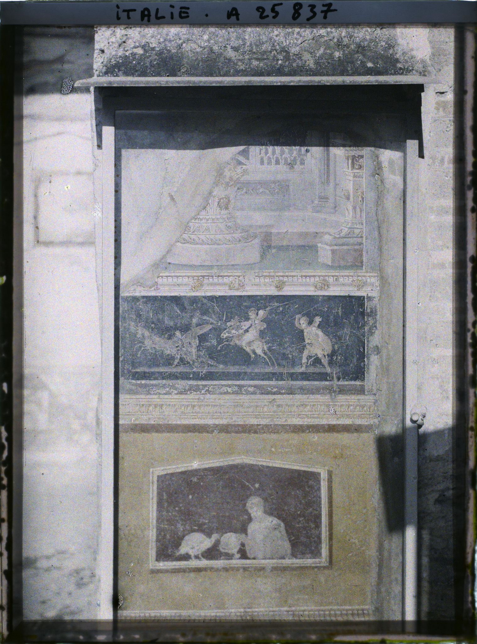 Image représentant Fresques de la maison des Vetti