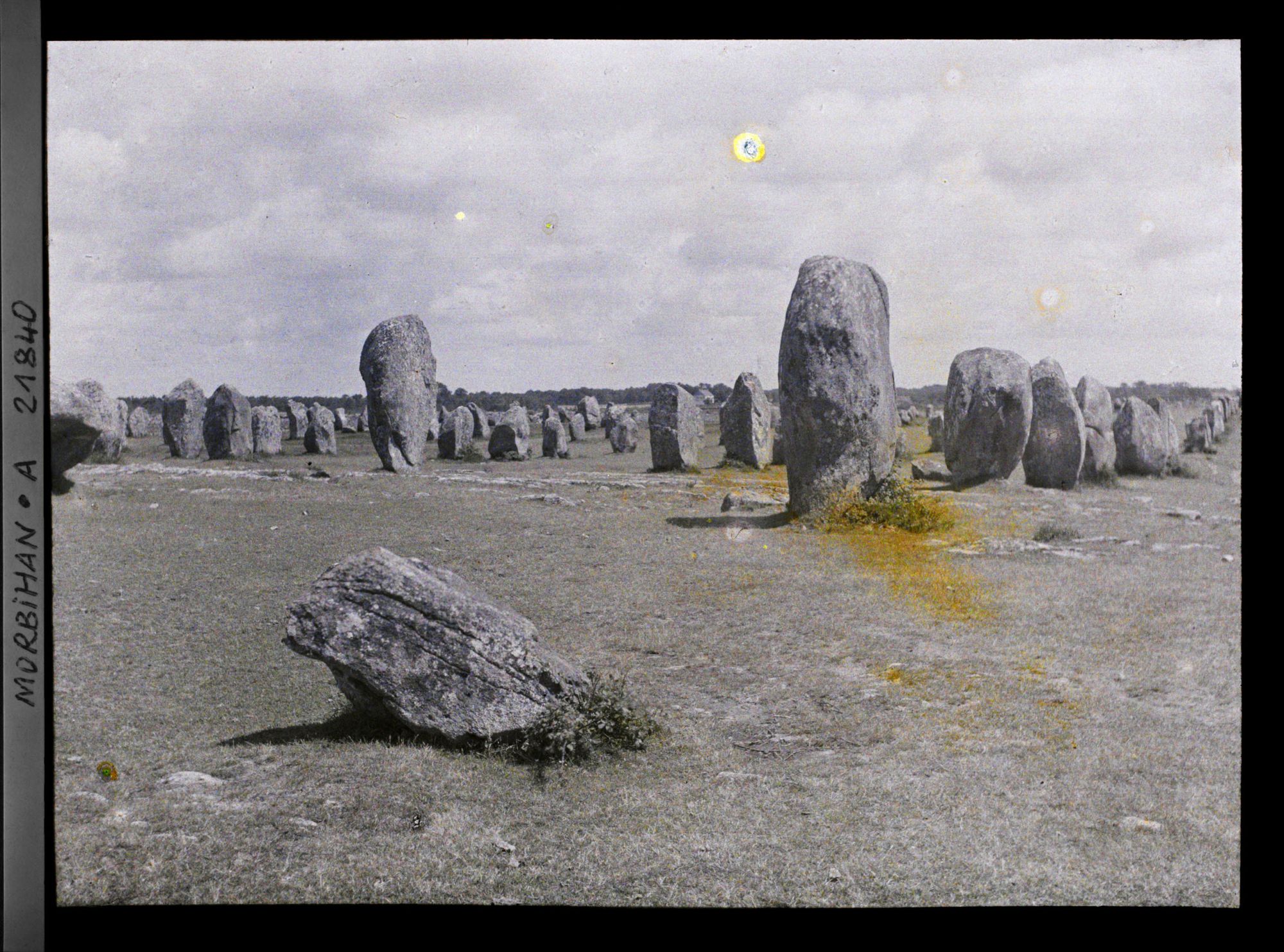 Image représentant Alignements de menhirs