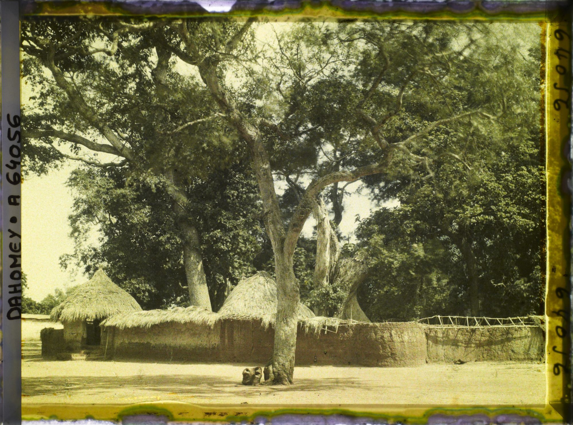 Image représentant Le temple des Serpents ou temple des Pythons