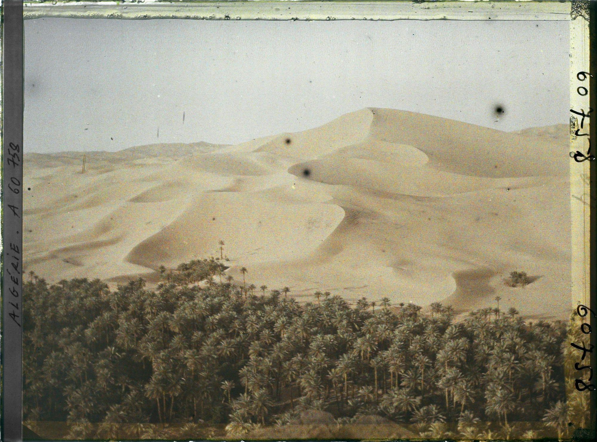 Image représentant L'oasis au pied du Grand Erg