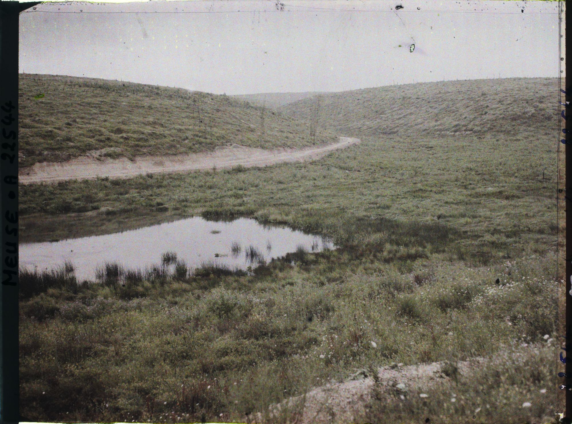 Image représentant France, Vaux, Etang de Vaux, bois Fumin et bois Chenois