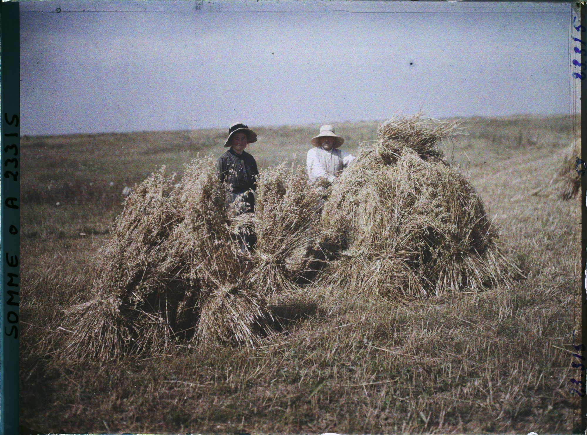 Image représentant France, Combles, La récolte de l'avoine