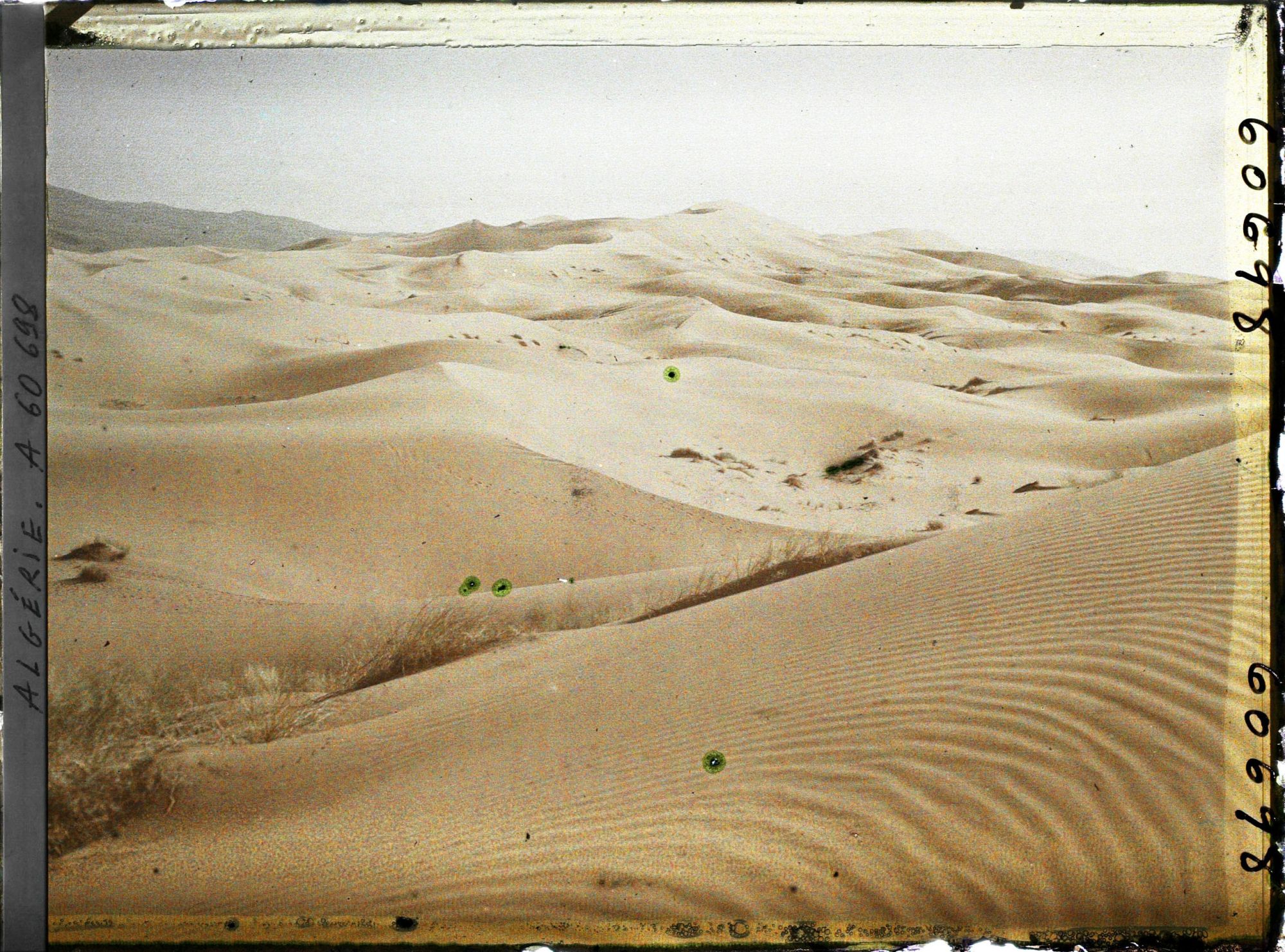 Image représentant La grande dune le soir avec au fond, le Djebel Mekter