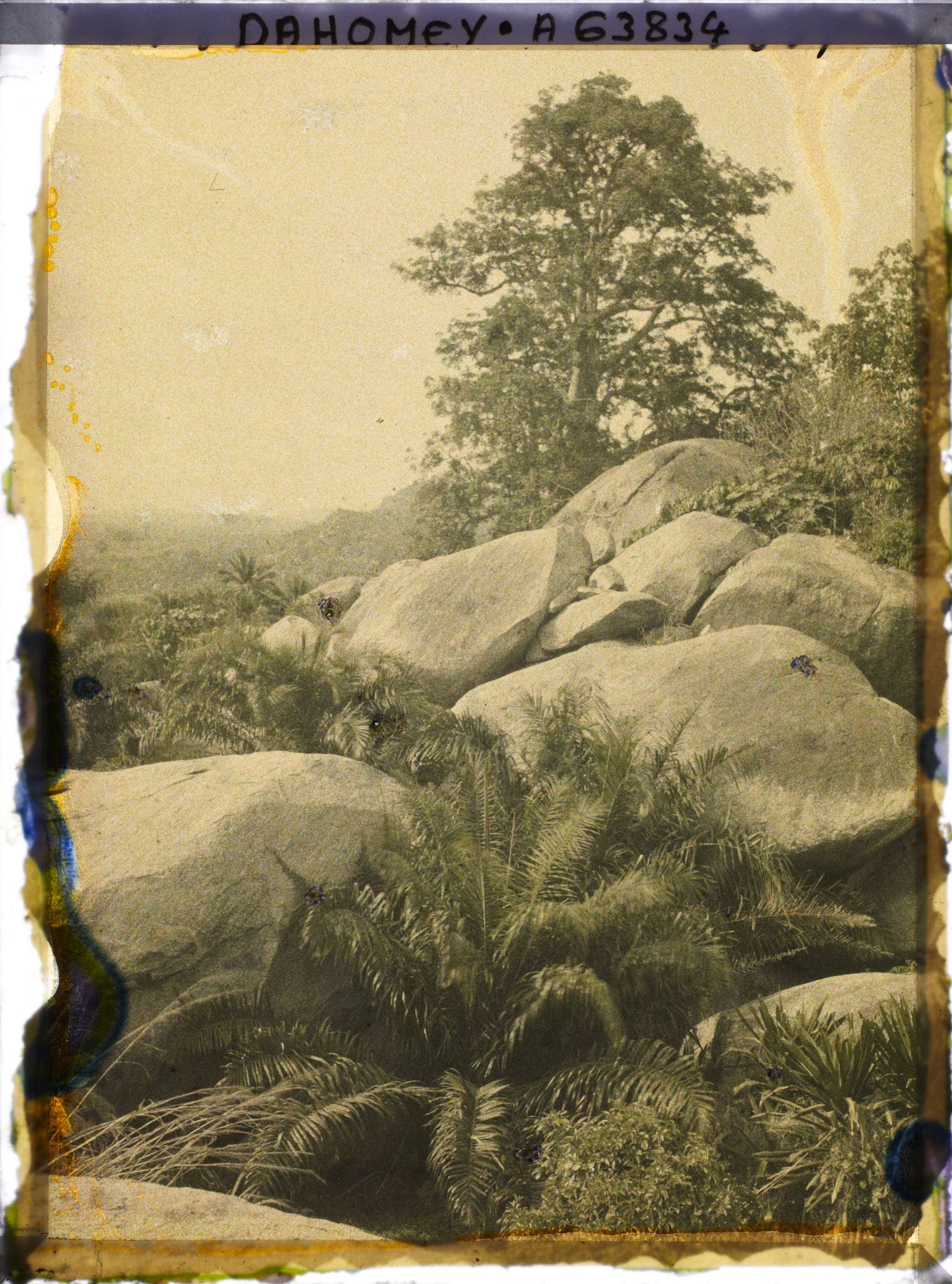 Image représentant Paysage de sommet montagneux