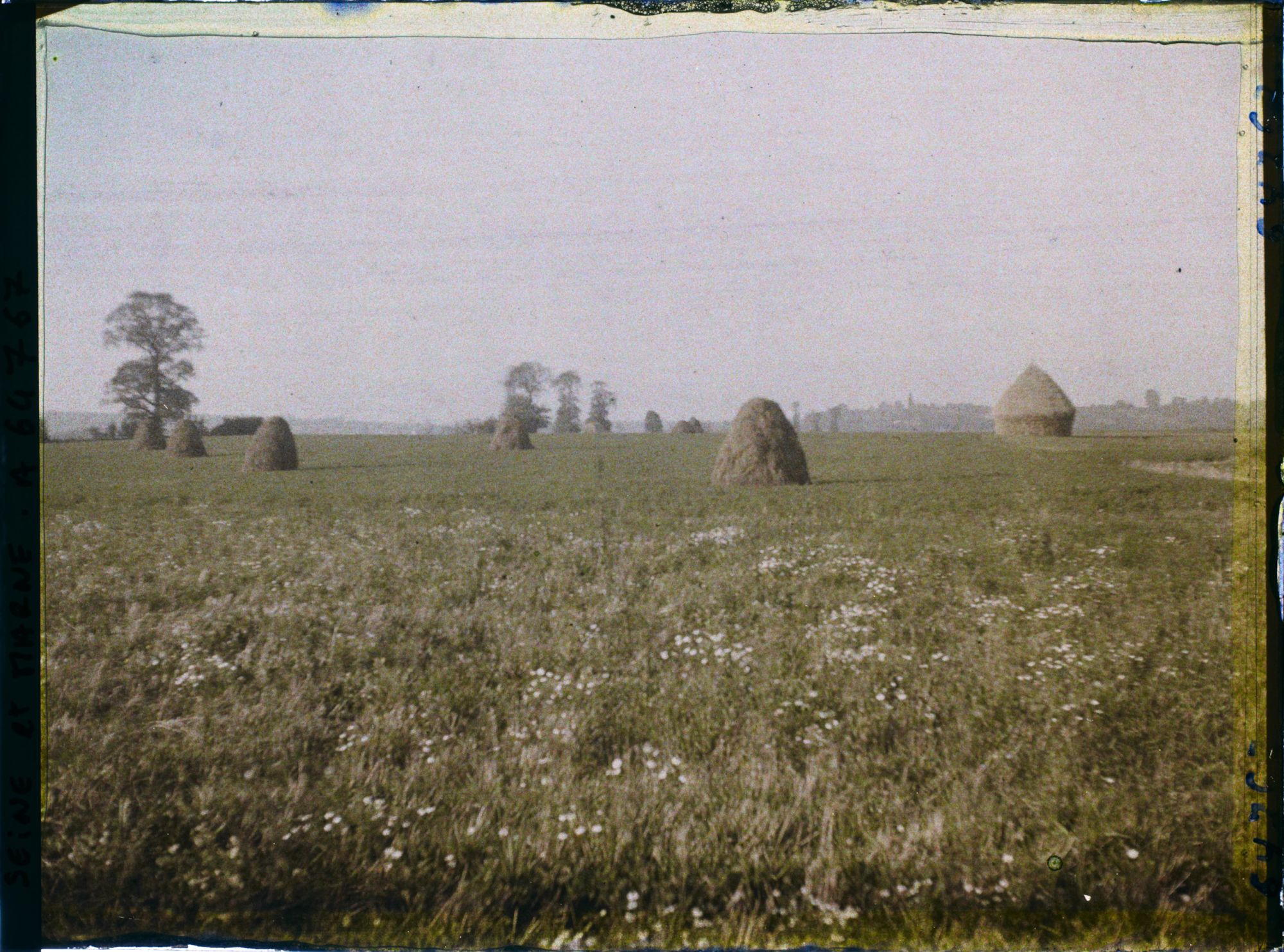 Image représentant Seine et Marne, Le Pin, Meules de Blé et fourrages