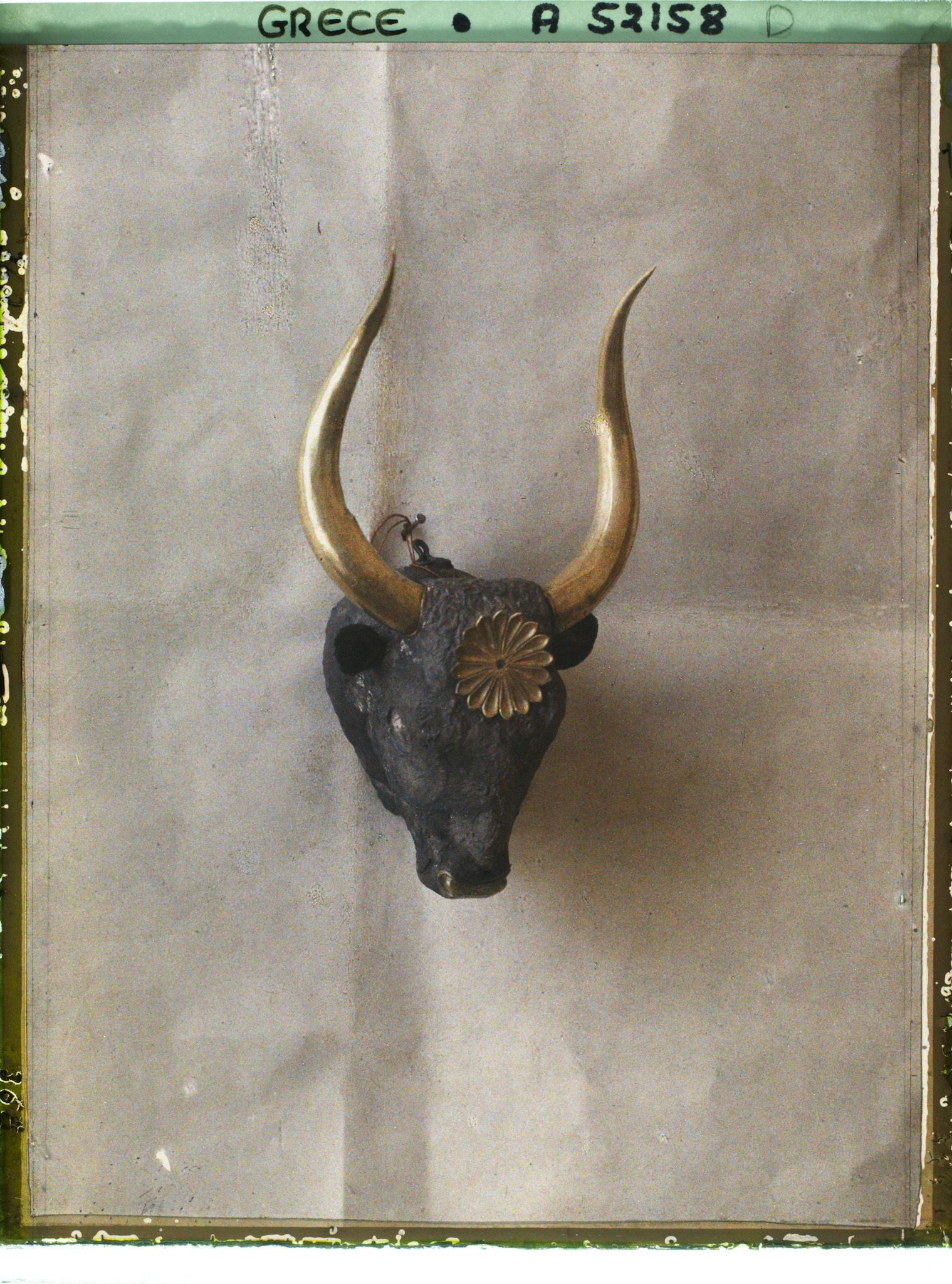 Image représentant Rhyton (vase) en argent en forme de tête de taureau, avec cornes, mufle et rosace décorative en or