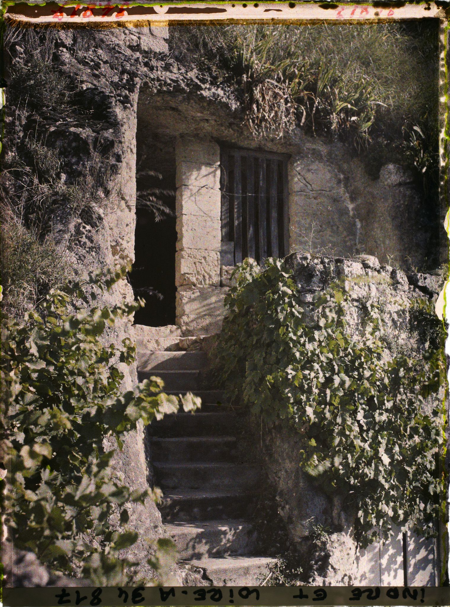 Image représentant Maison troglodyte au Petit Coteau avec son escalier taillé dans le roc