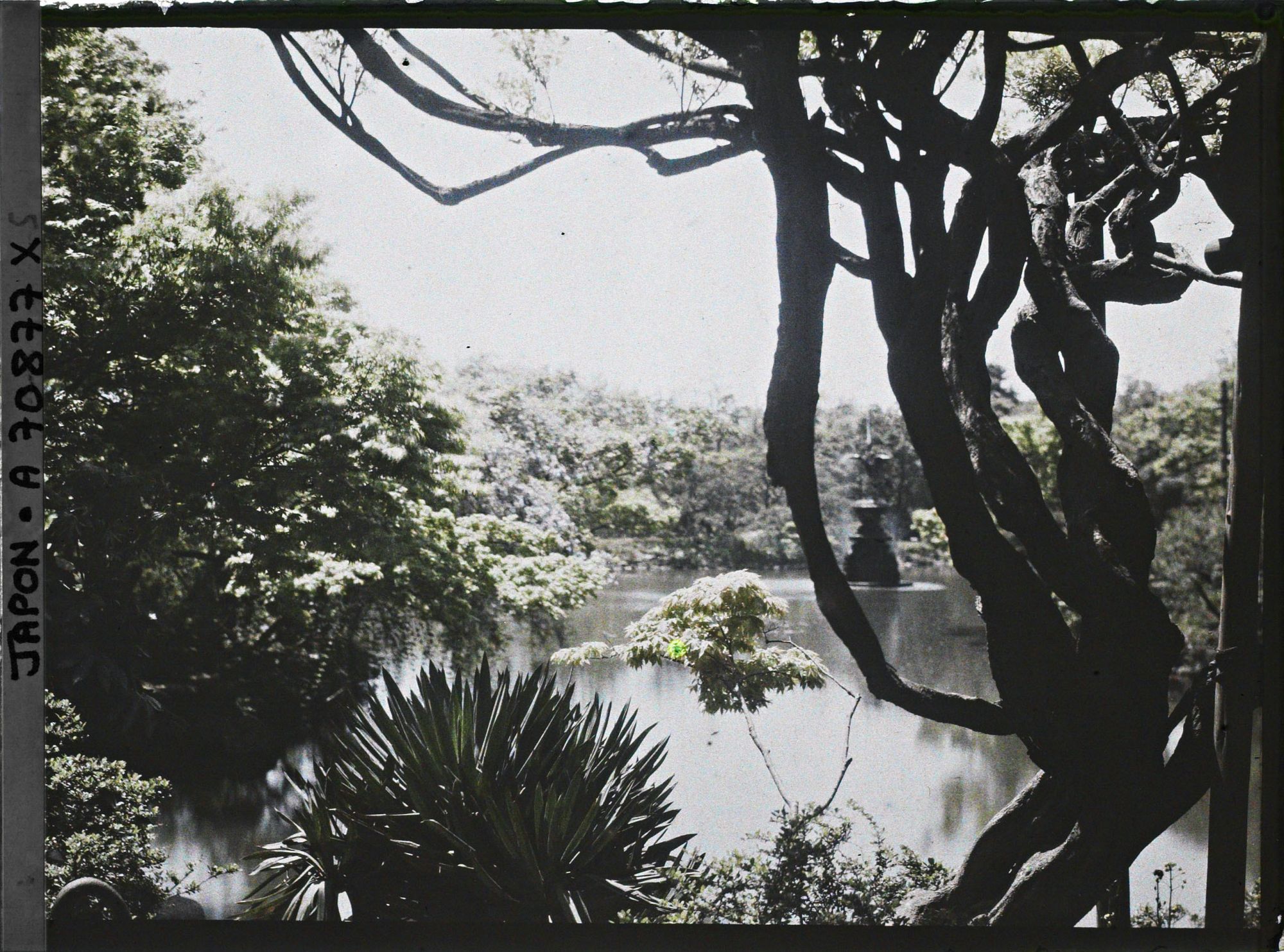 Image représentant Hibiya-koen (parc de Hibiya) : l'étang Shinkei