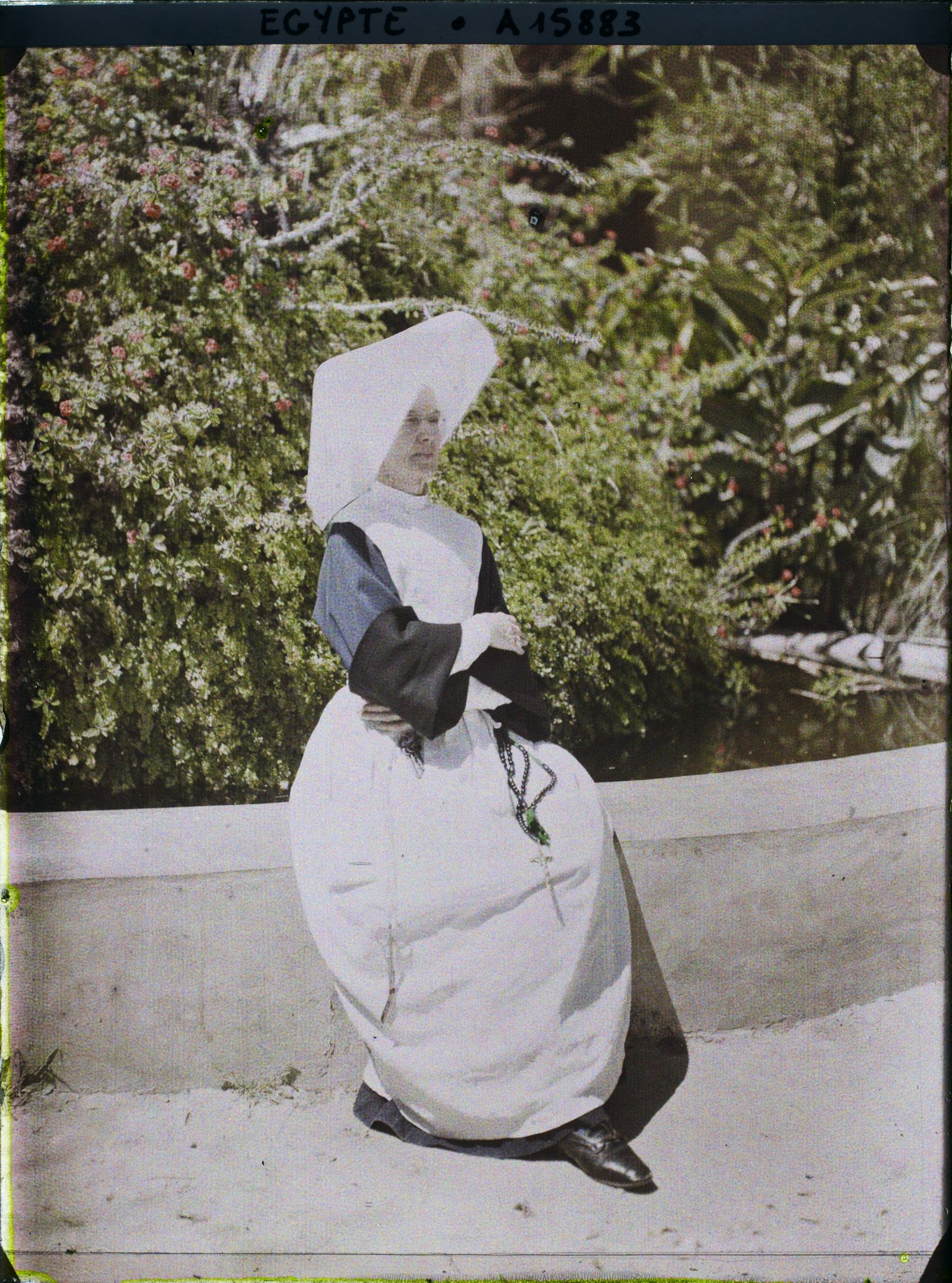 Image représentant Portrait de Sœur Augustine