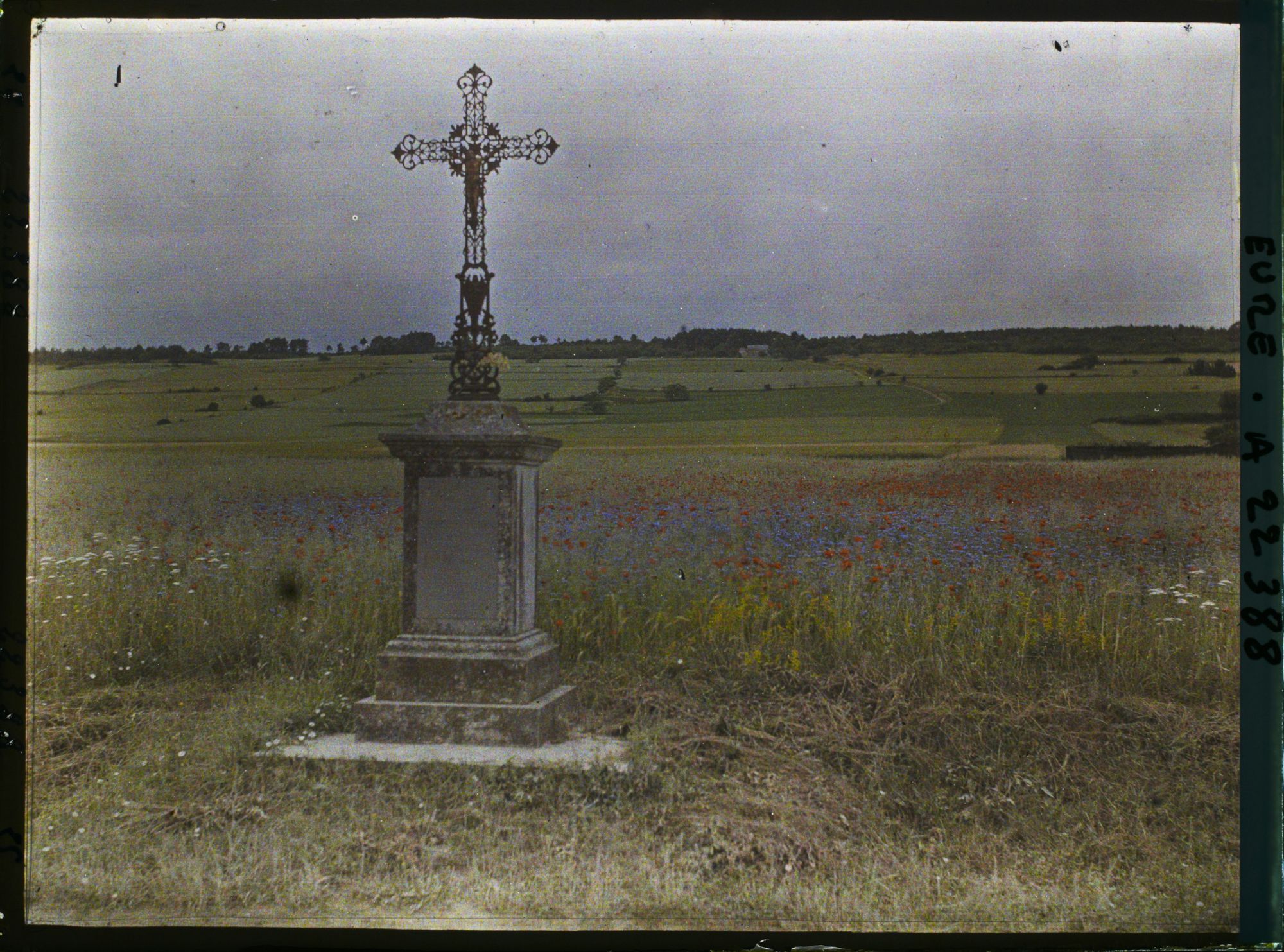 Image représentant Croix et coquelicots