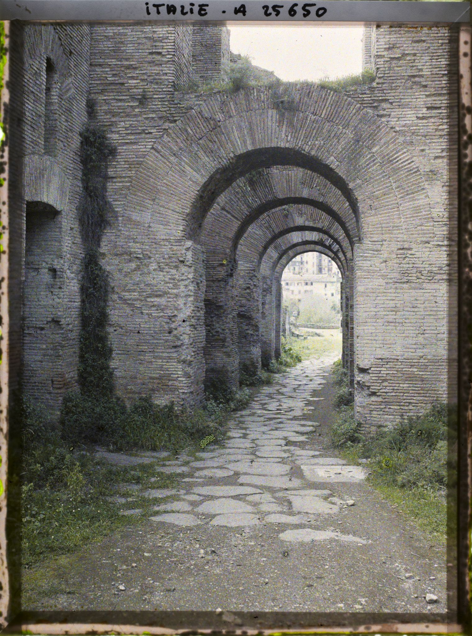 Image représentant La Via Nova