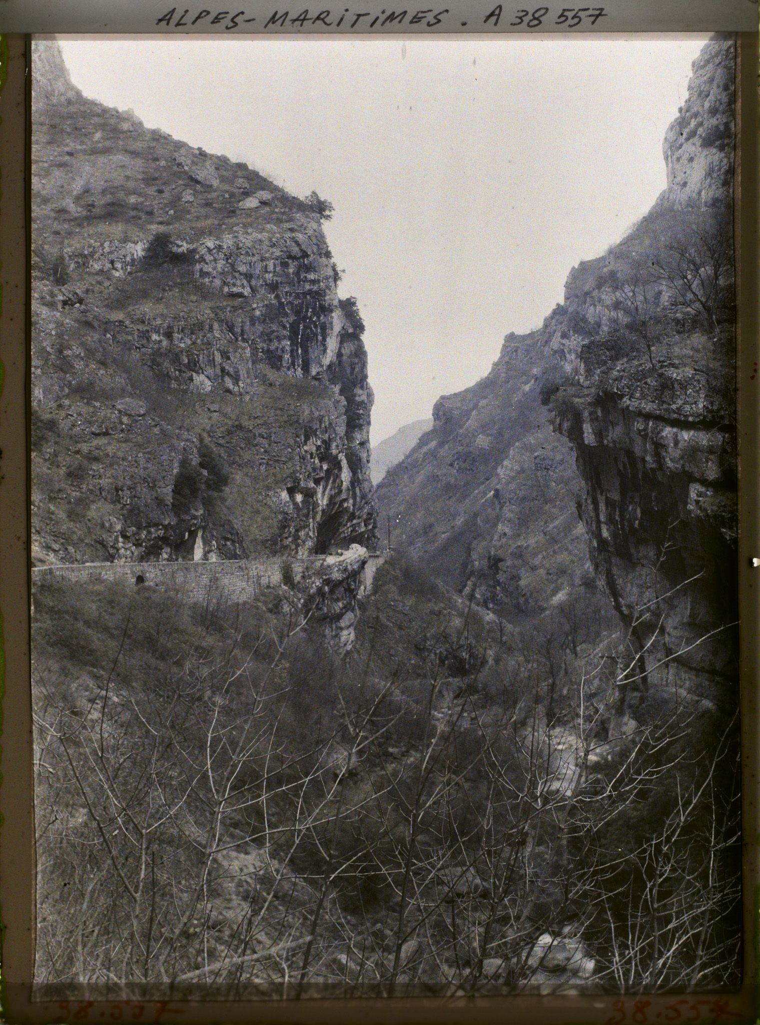 Image représentant Vue des Gorges, vue prise entre le Loup - Station et les Cascades