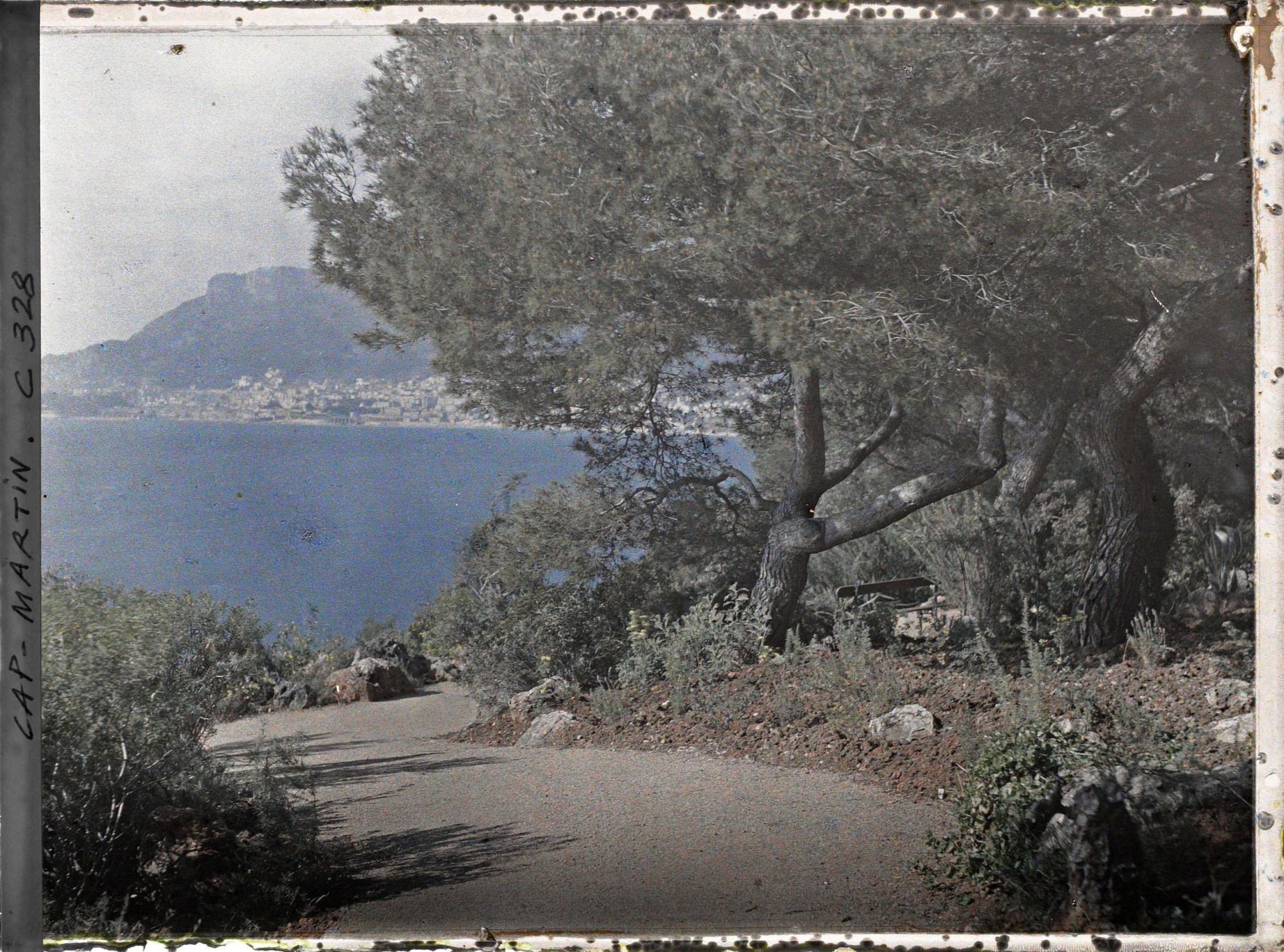 Image représentant Cap-Martin - Le Jardin