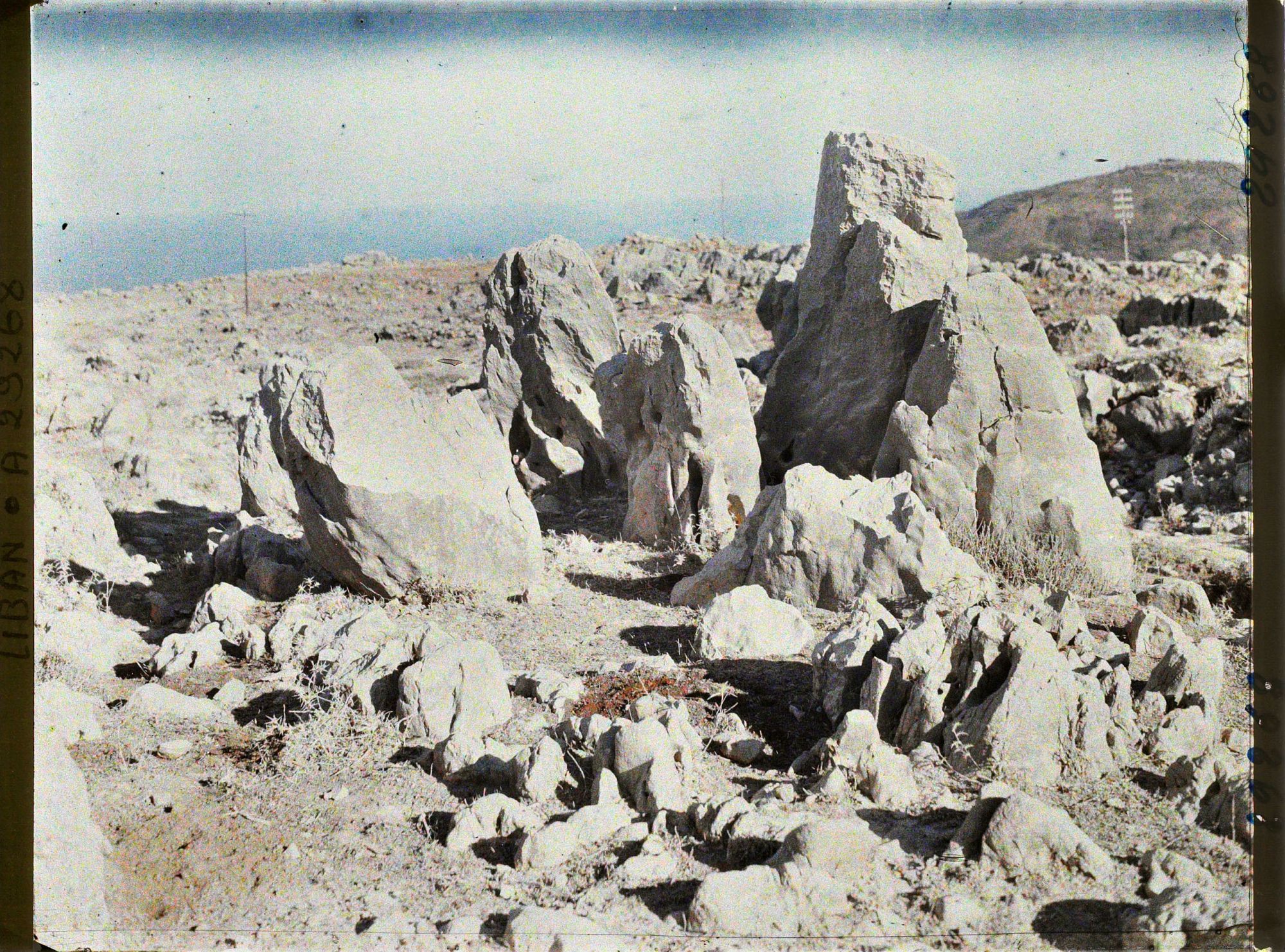 Image représentant Rochers karstiques