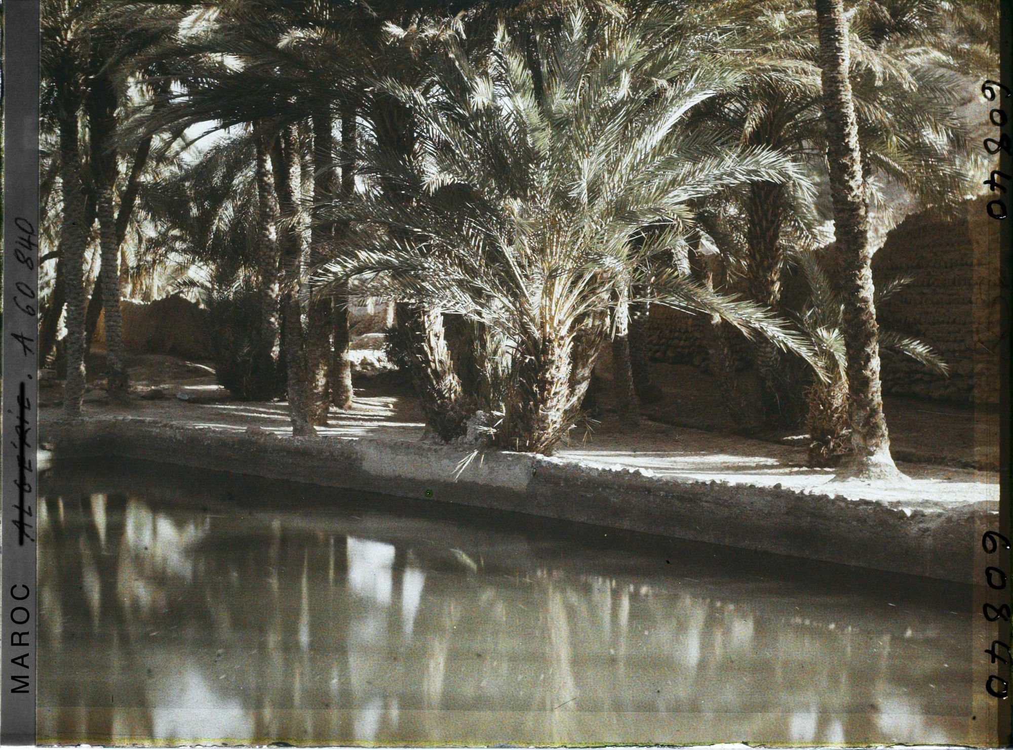 Image représentant Un bassin de retenue dans l'oasis de Zenaga