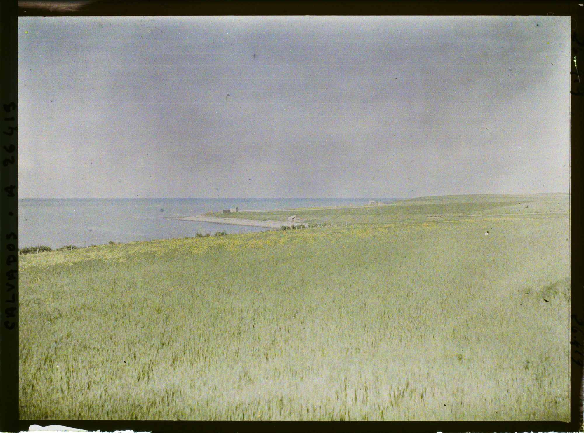 Image représentant Pointe de Grandcamp