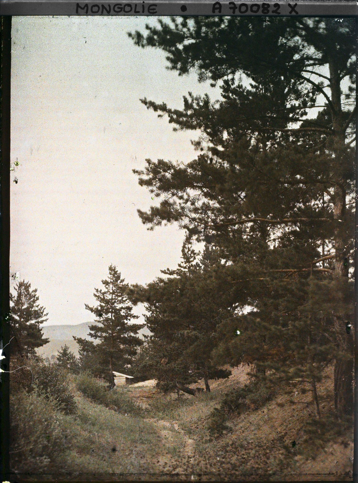 Image représentant Une clairière dans la taïga