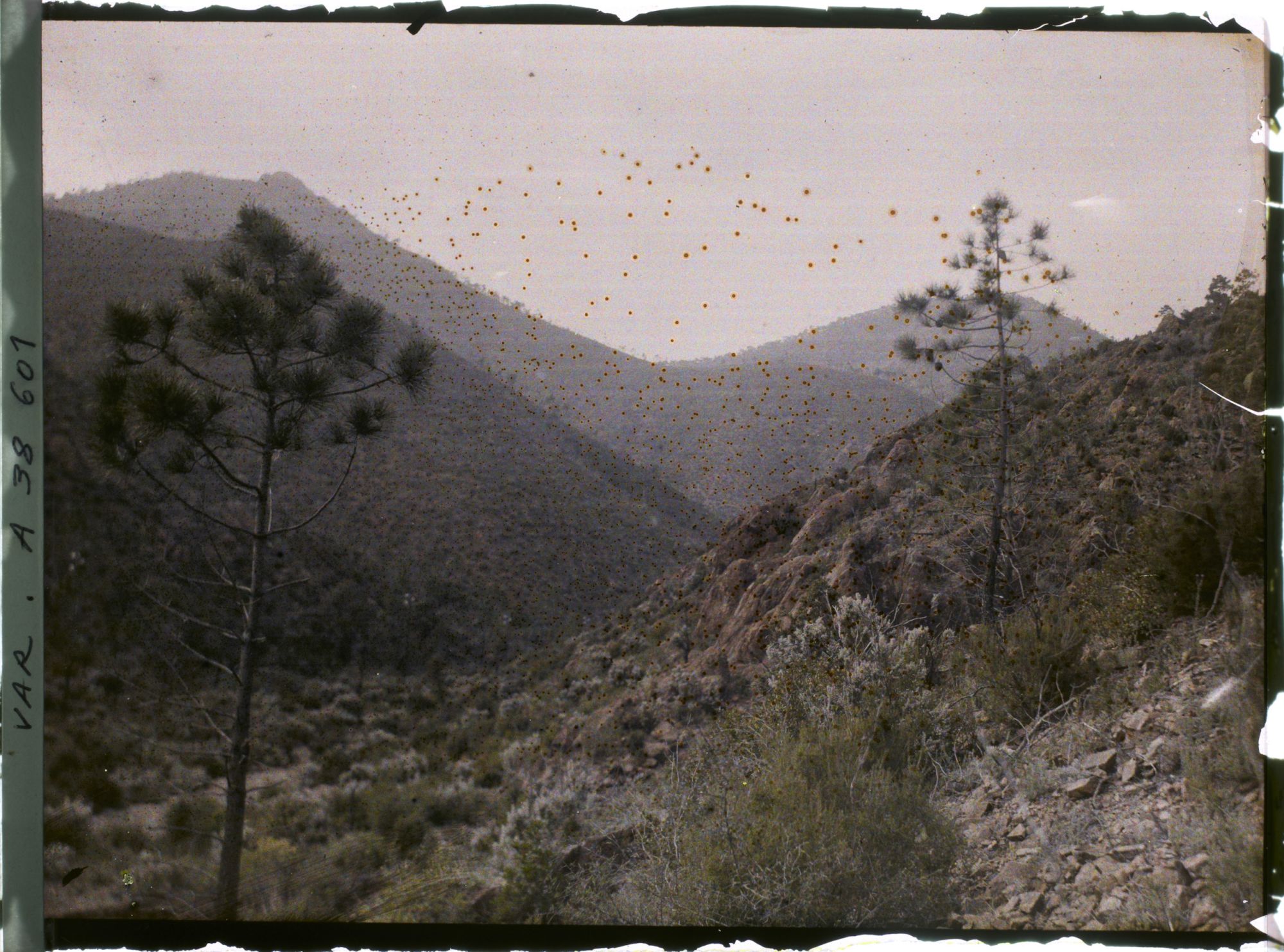 Image représentant Ravin du Trayas