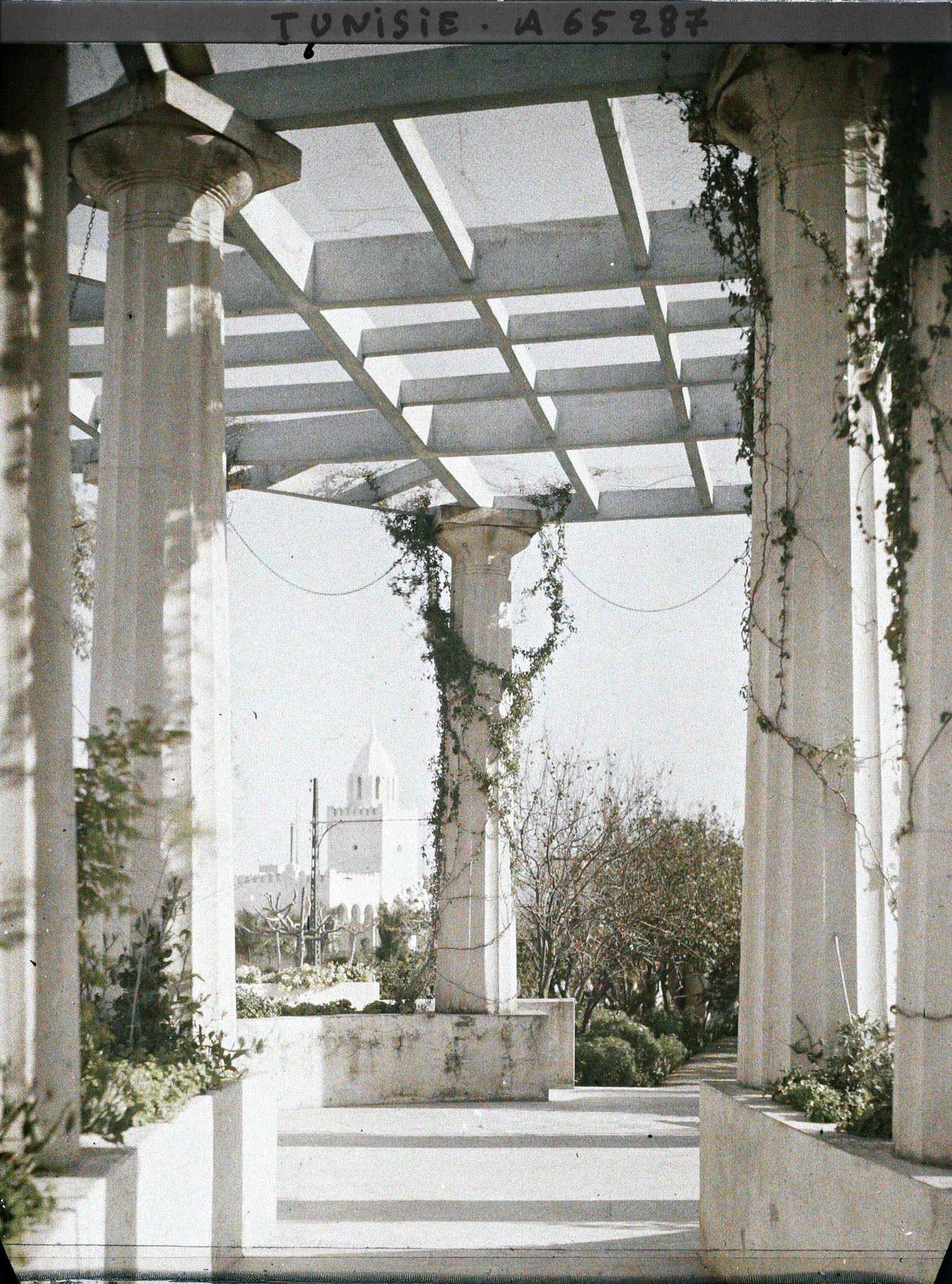 Image représentant La pergola du palais d'été du résident général