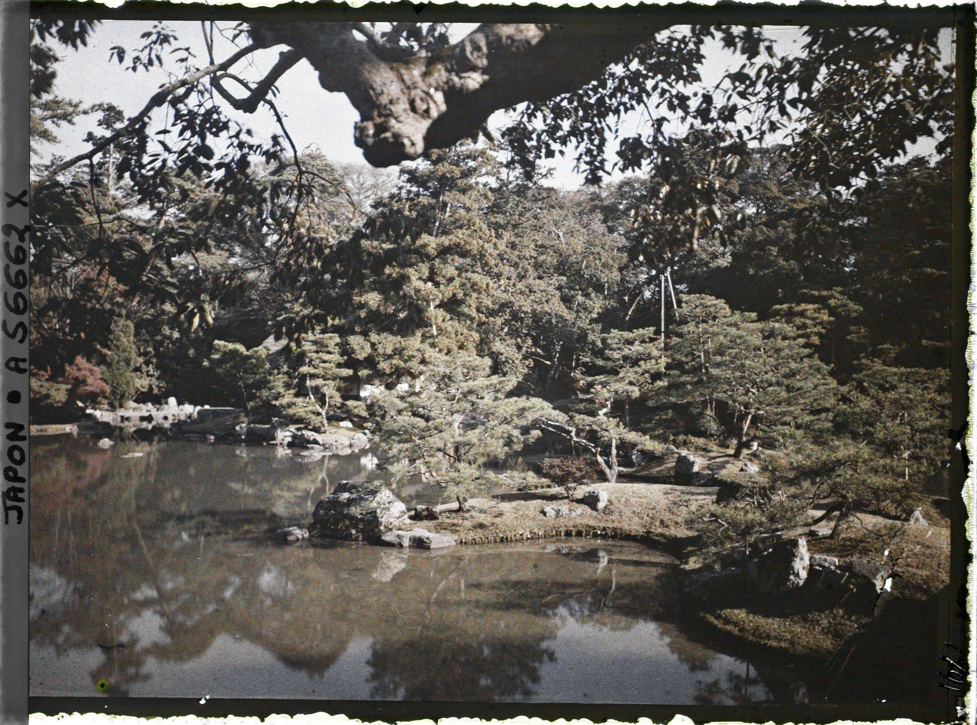 Image représentant Villa impériale de Katsura (Katsura-Rikyu) : l'étang et une partie du jardin