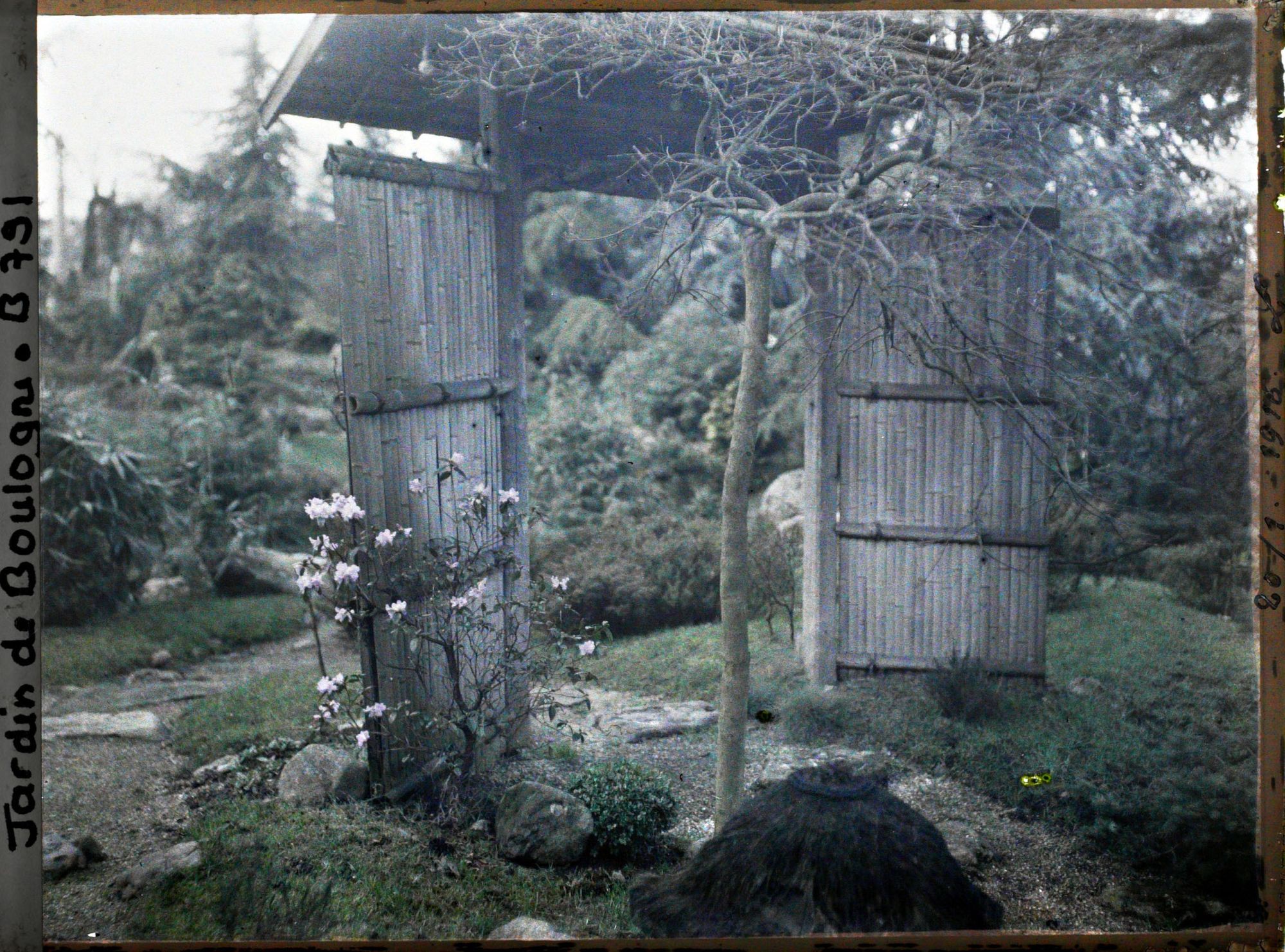 Image représentant Arbre et arbuste devant la porte du " village japonais " ouvrant sur le " sanctuaire japonais "