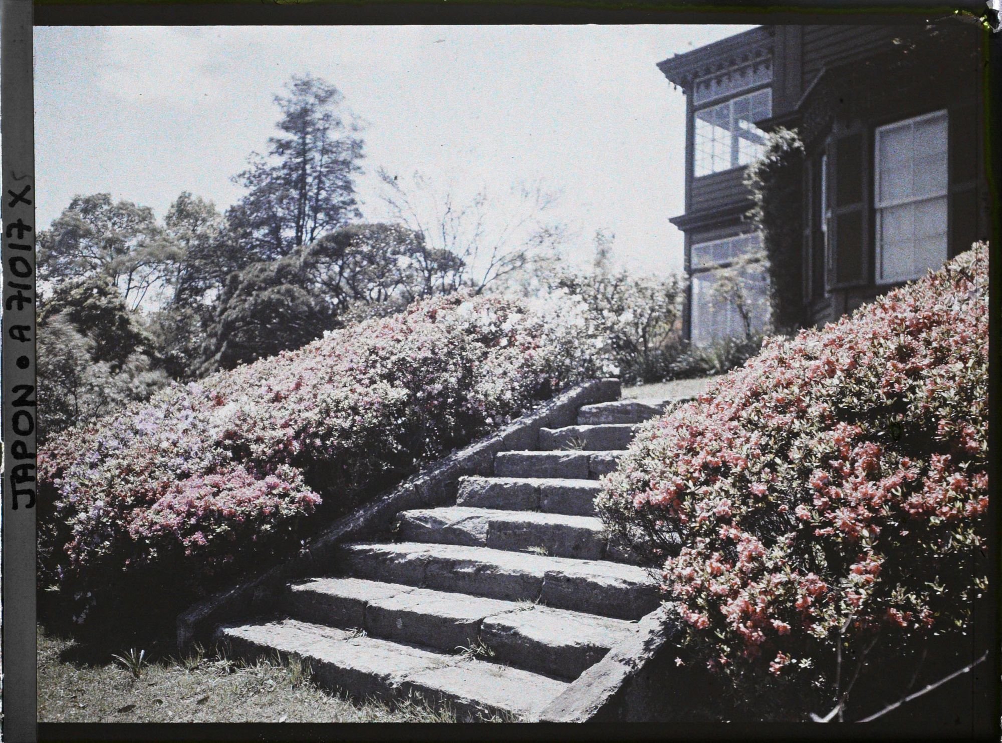 Image représentant Jardin d'une résidence ?