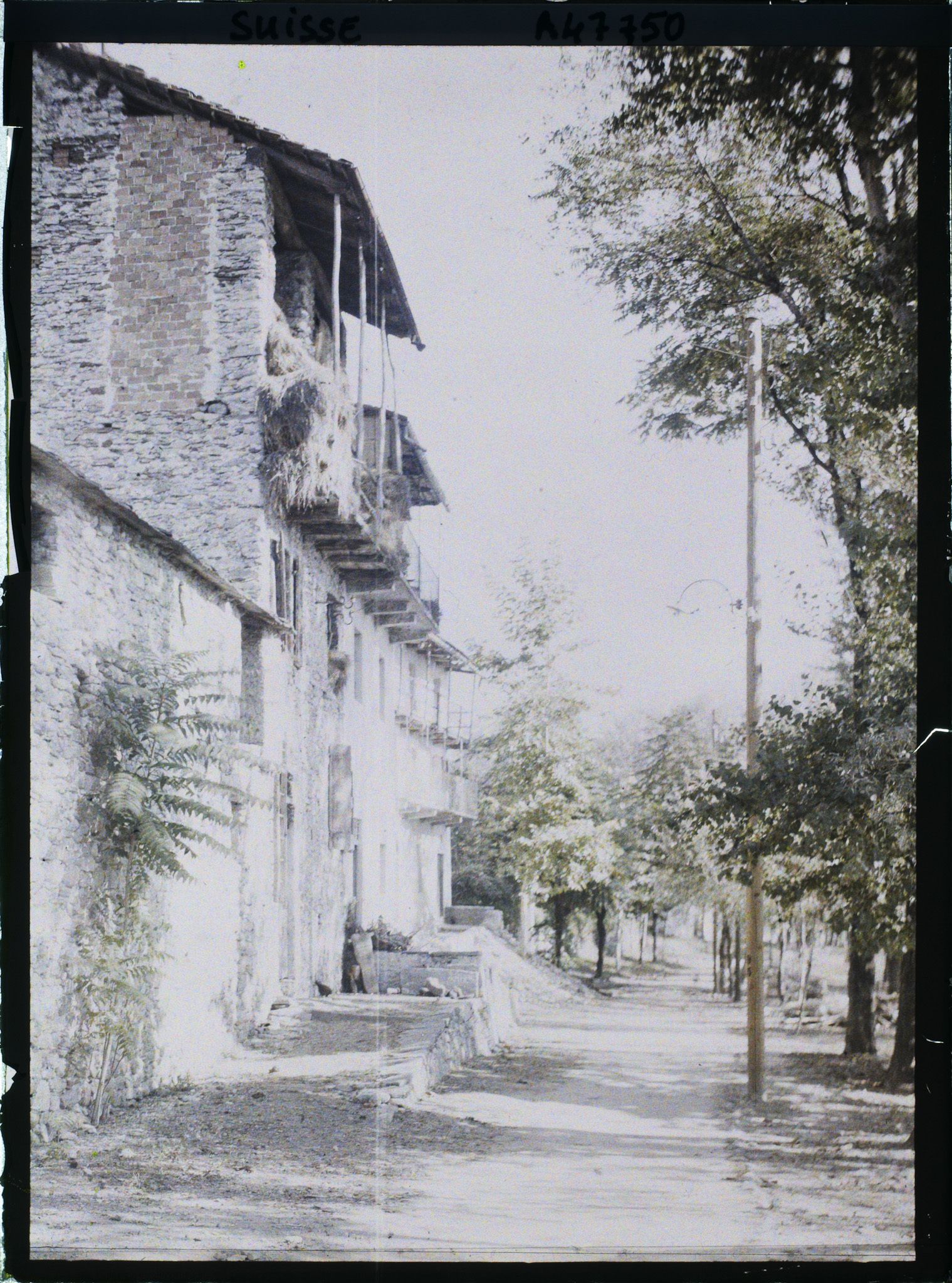 Image représentant Maisons typiques tessinoises sur la via Rivapiana