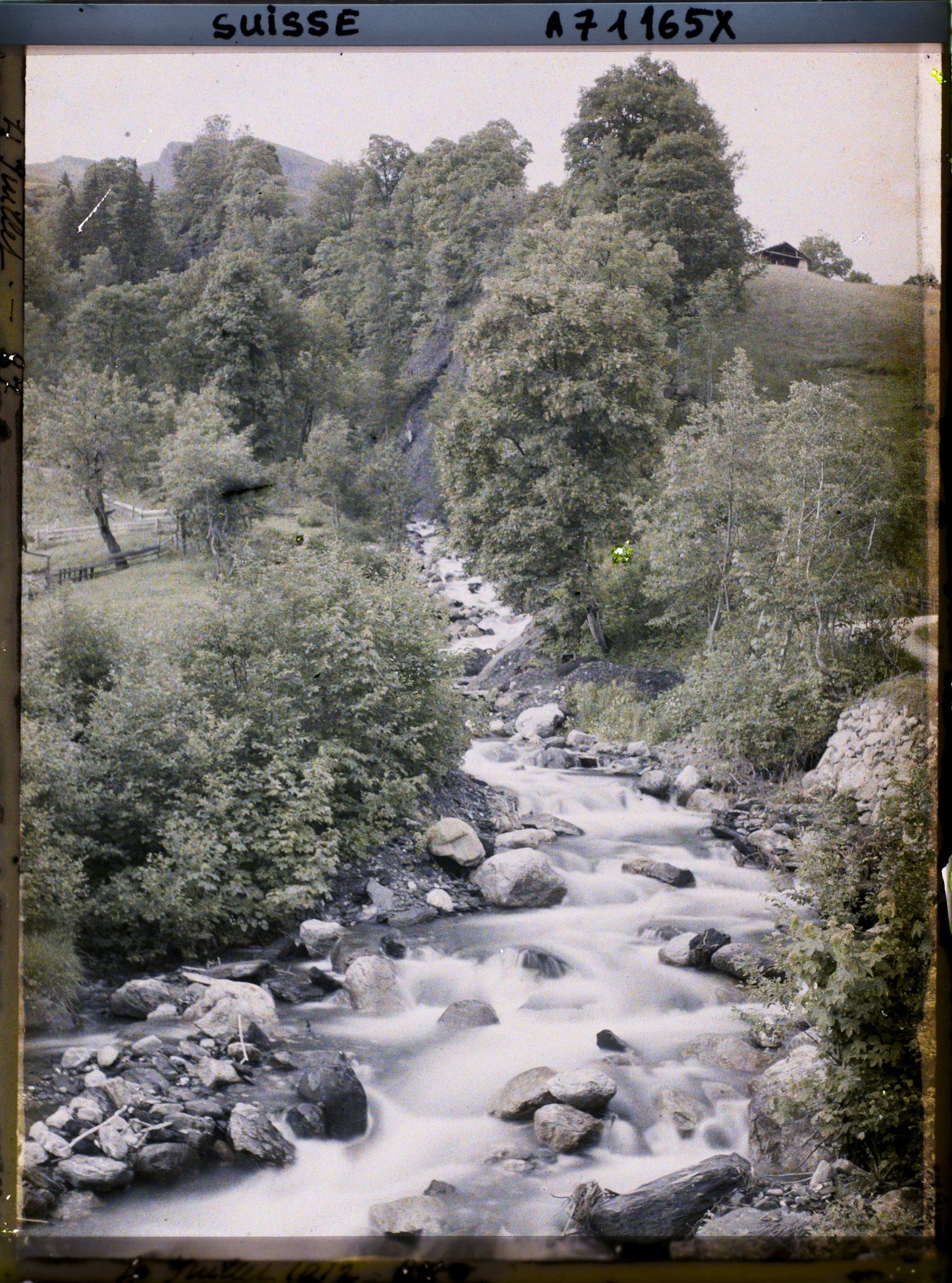 Image représentant Un ruisseau dans la vallée de Grindelwald
