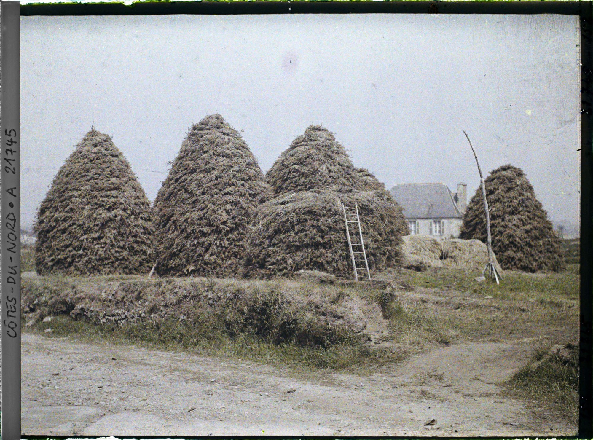 Image représentant La construction des meules de foin