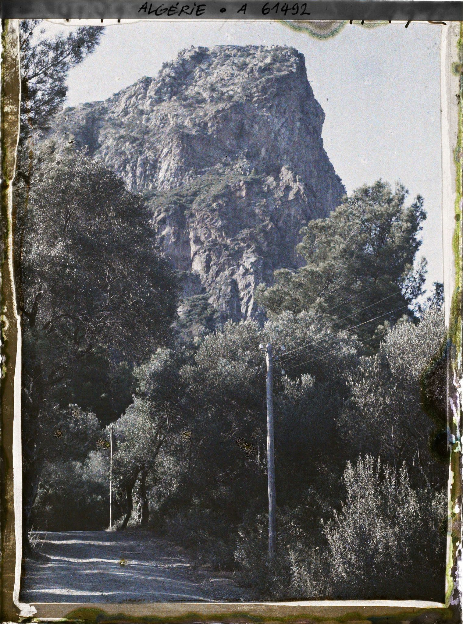 Image représentant Vue du djebel Gouraya