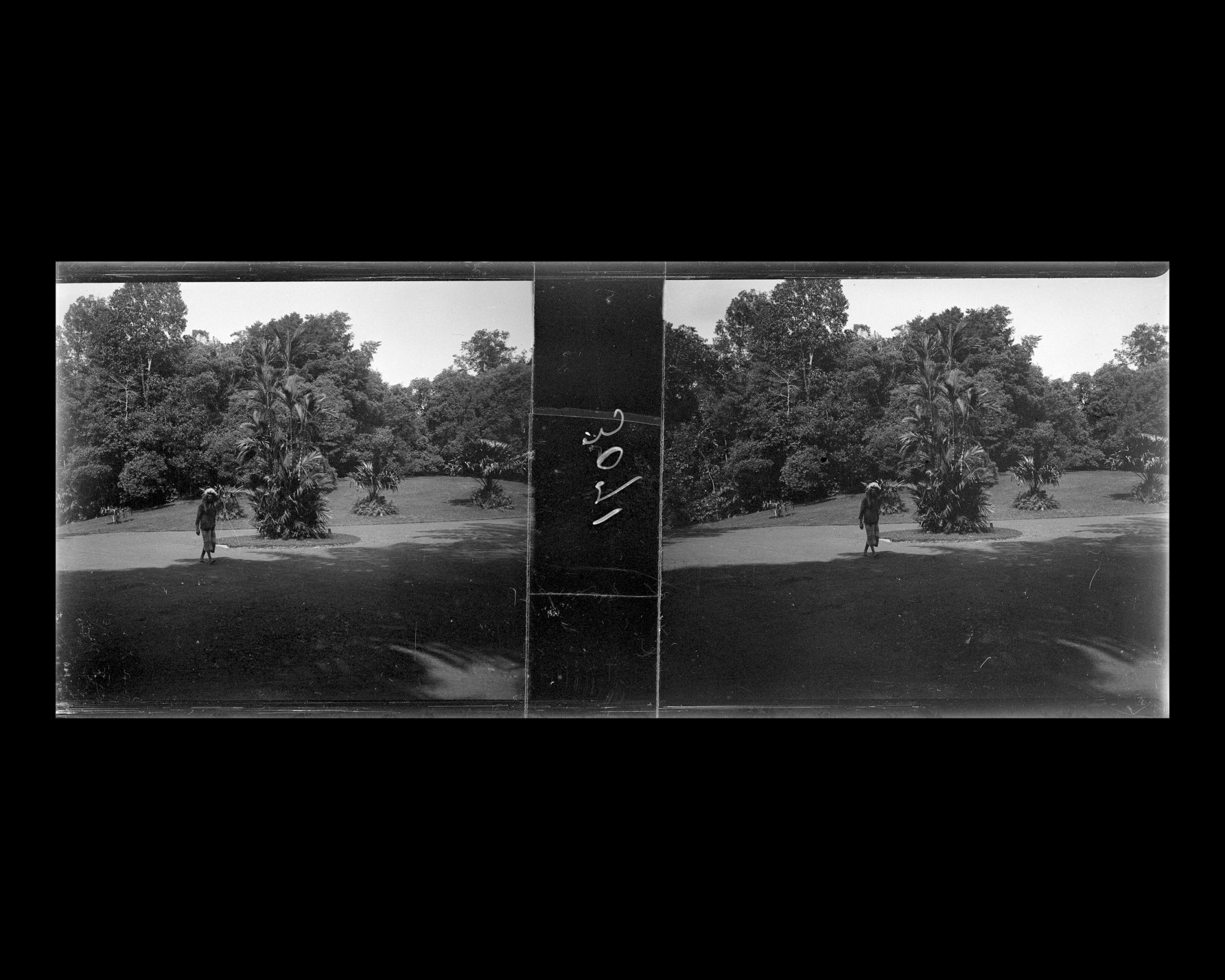 Image représentant Jardin botanique