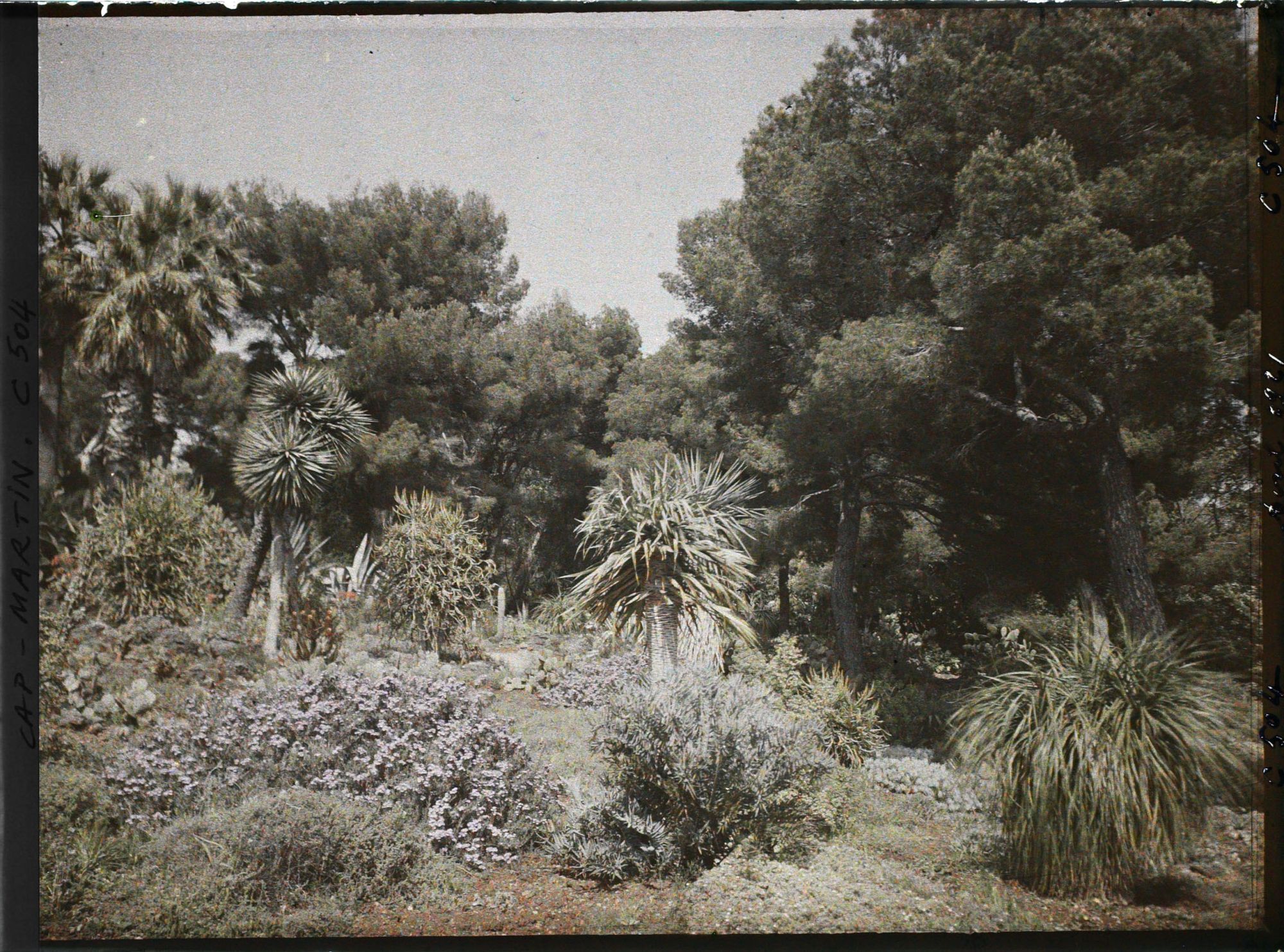 Image représentant Cap Martin Le Jardin